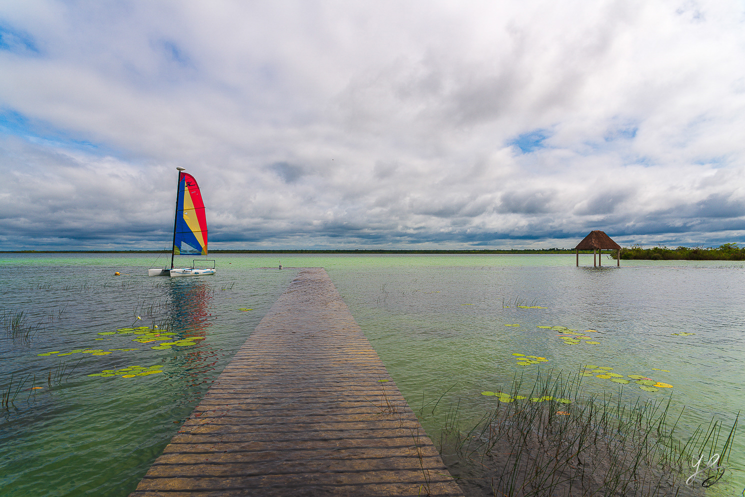 Bacalar