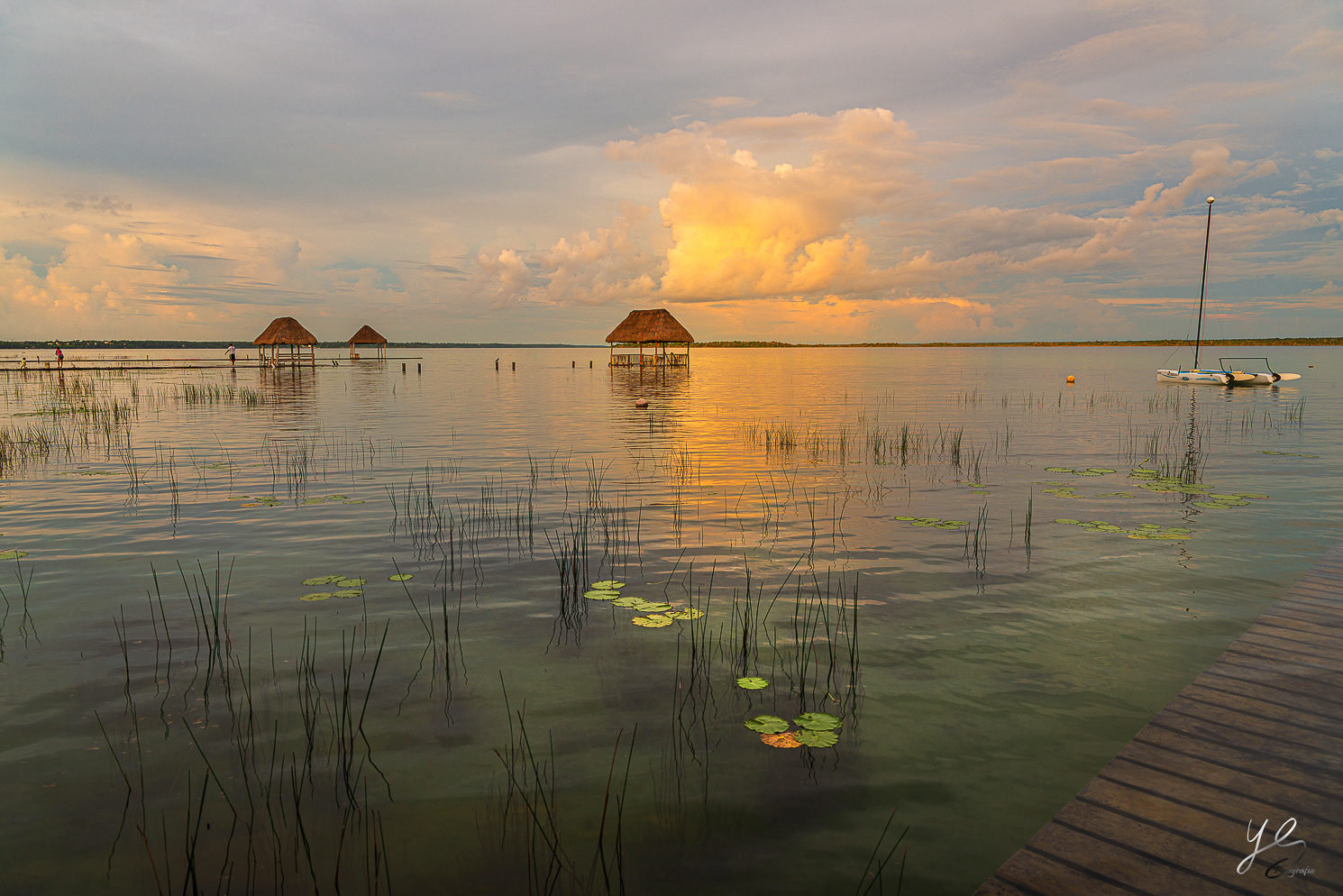 Bacalar
