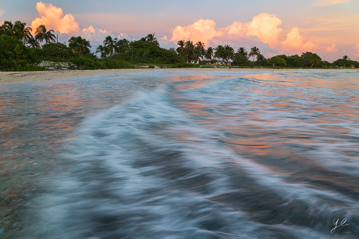 Playa Larga - Cuba
