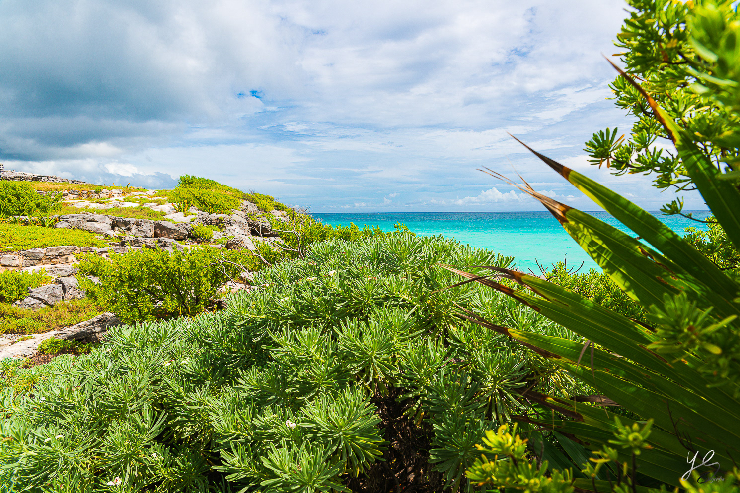 Akumal