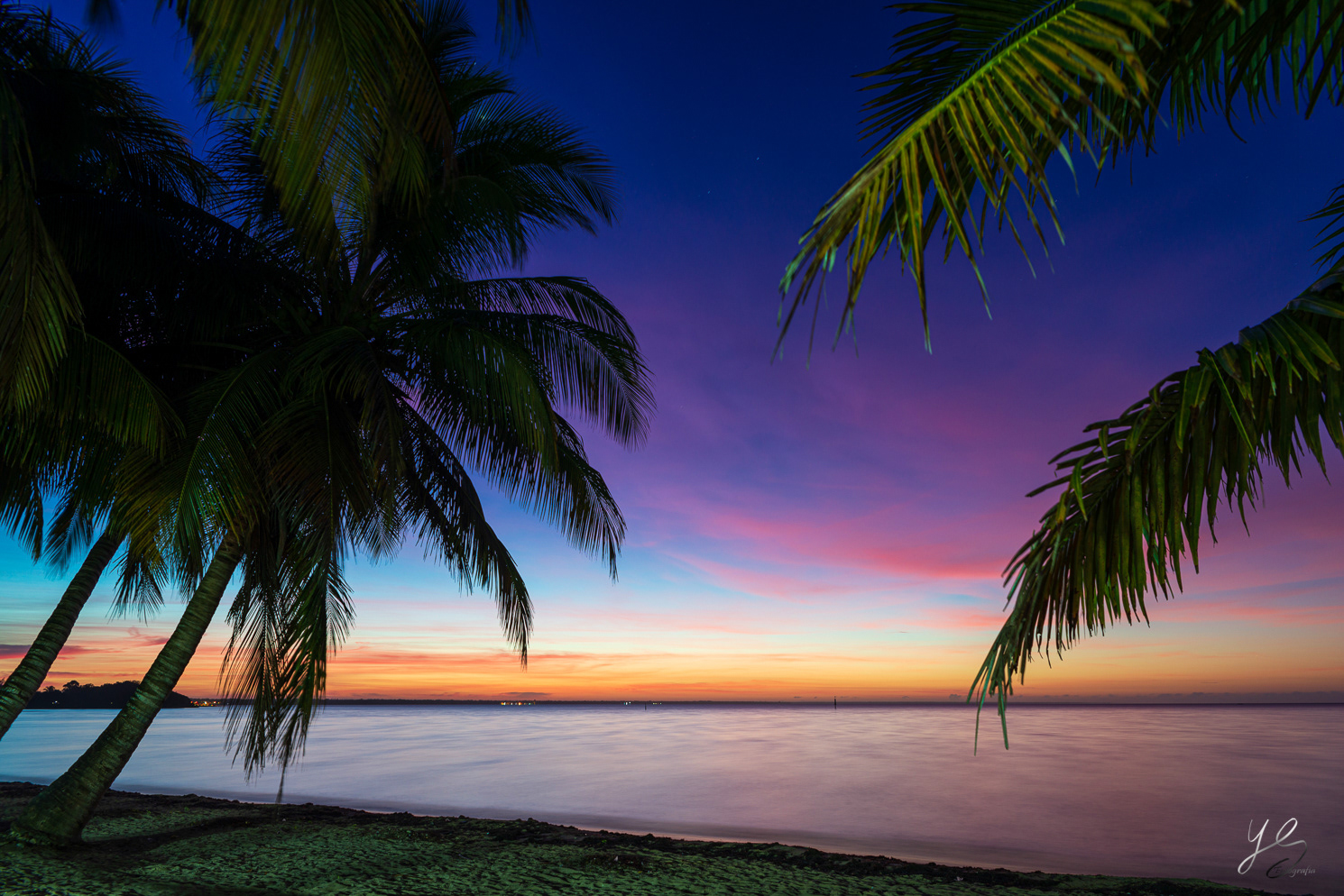 Playa Larga - Cuba