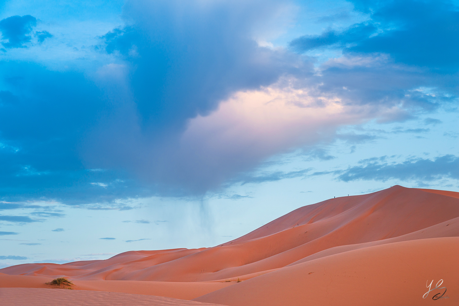 Erg Chebbi - Morocco
