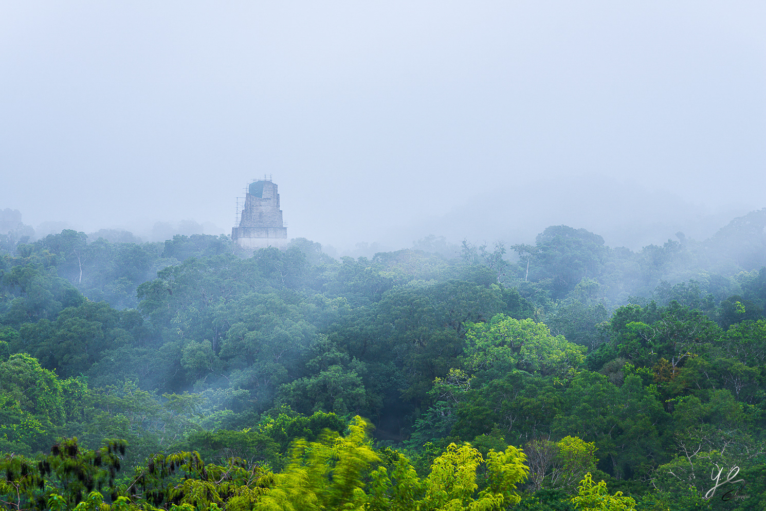 Tikal