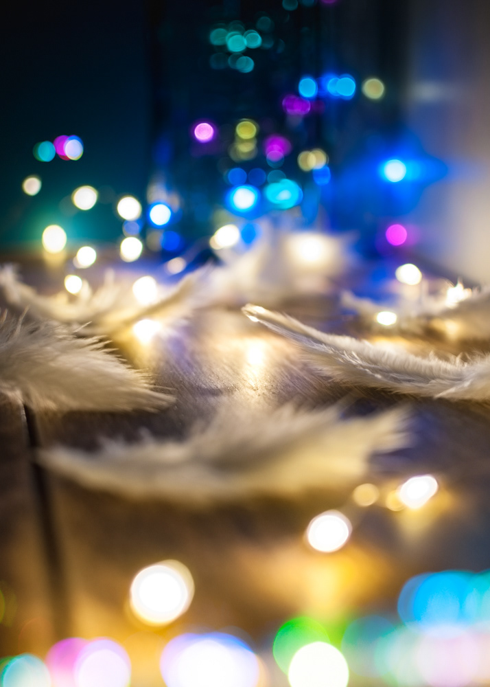 Feathery Bokeh