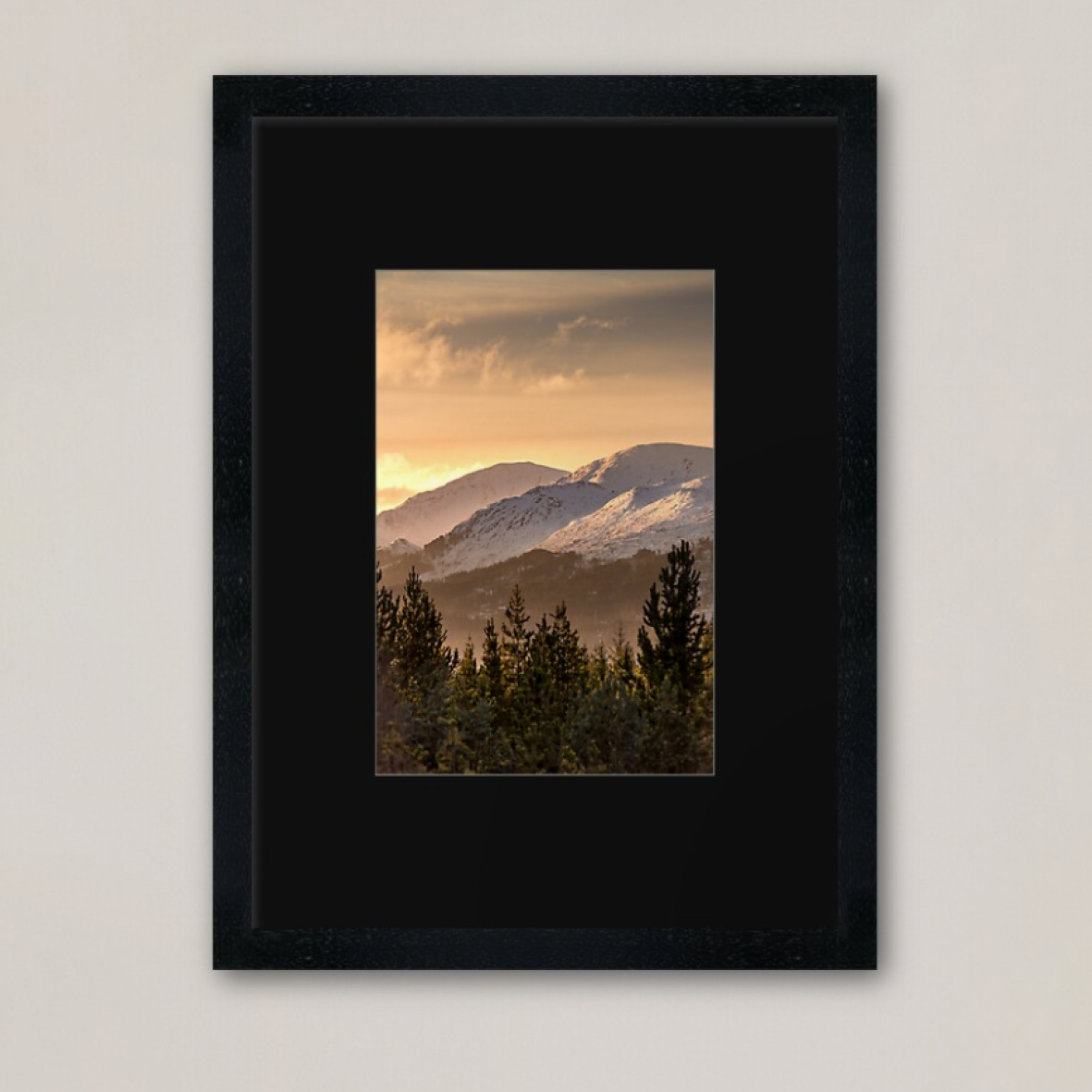 Framed Prints