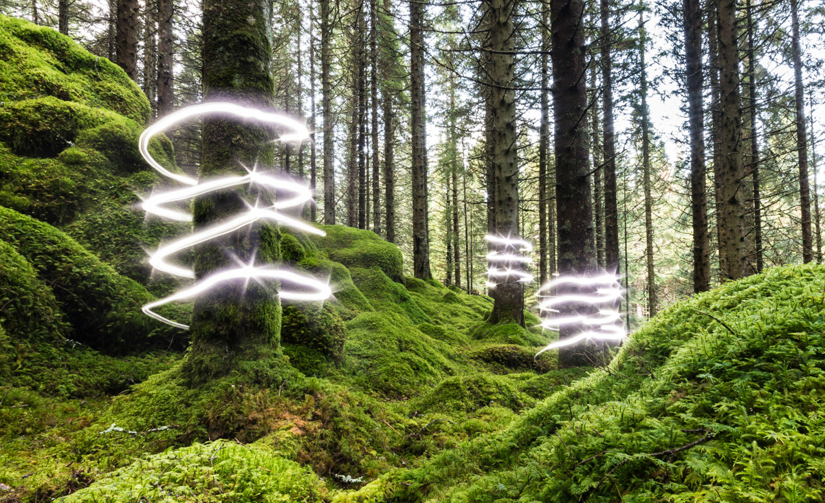 A simple maglight torch looped around the trees
