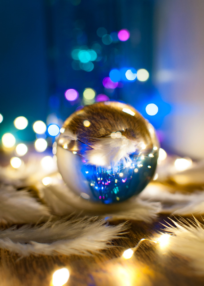 Soft Colour Focus