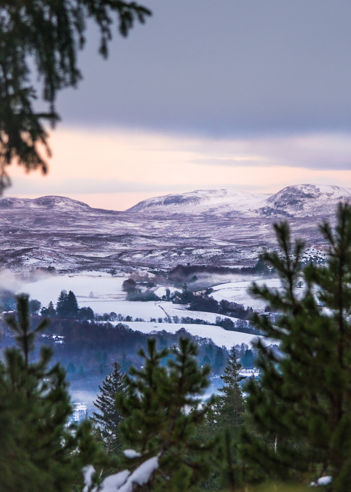 Glenurquhart Hillside