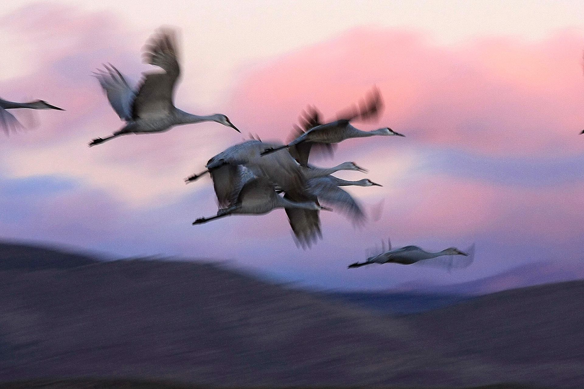 Morning Departure