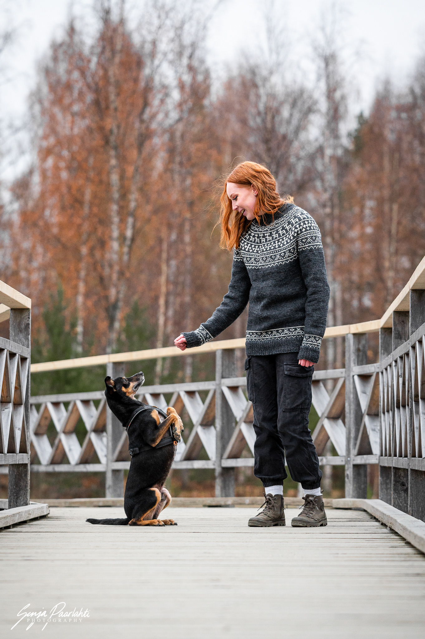 Koiran kanssa tehdään temppua.