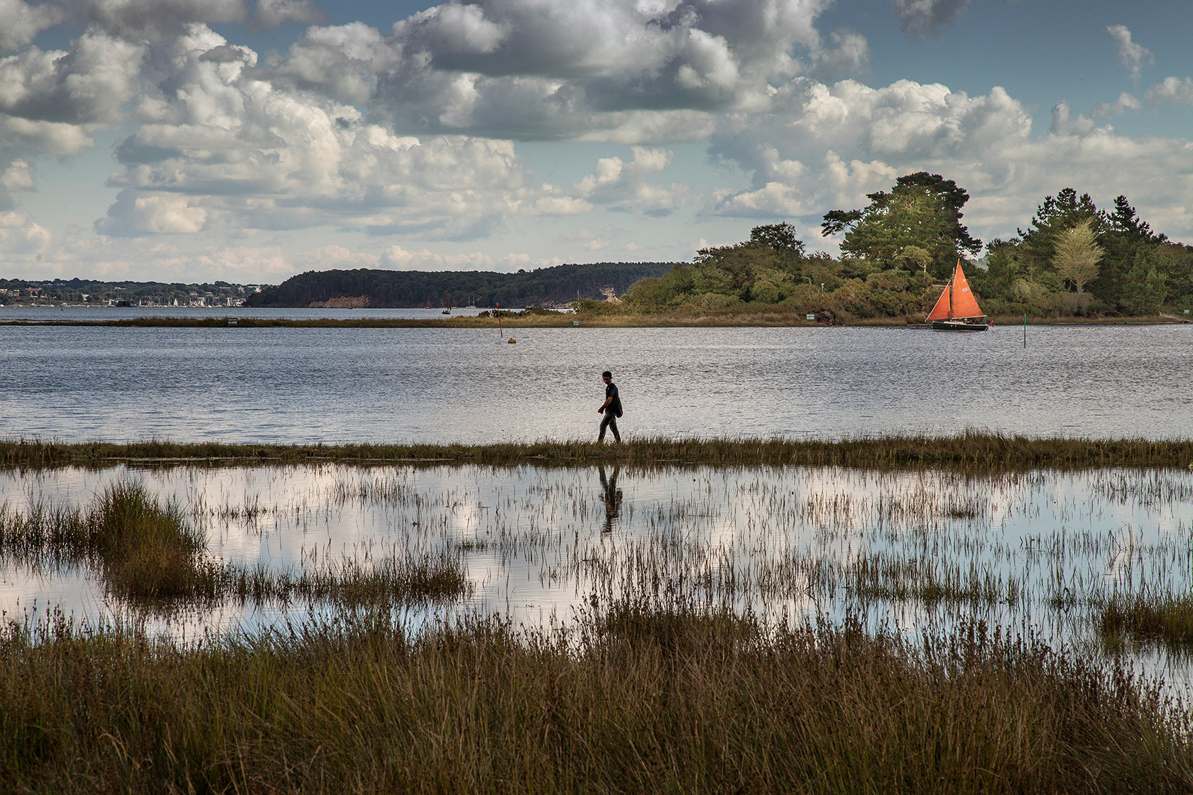 Walker, Poole Harbour