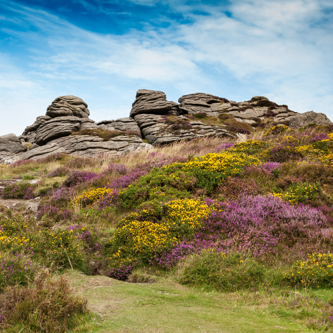 Dartmoor Tor