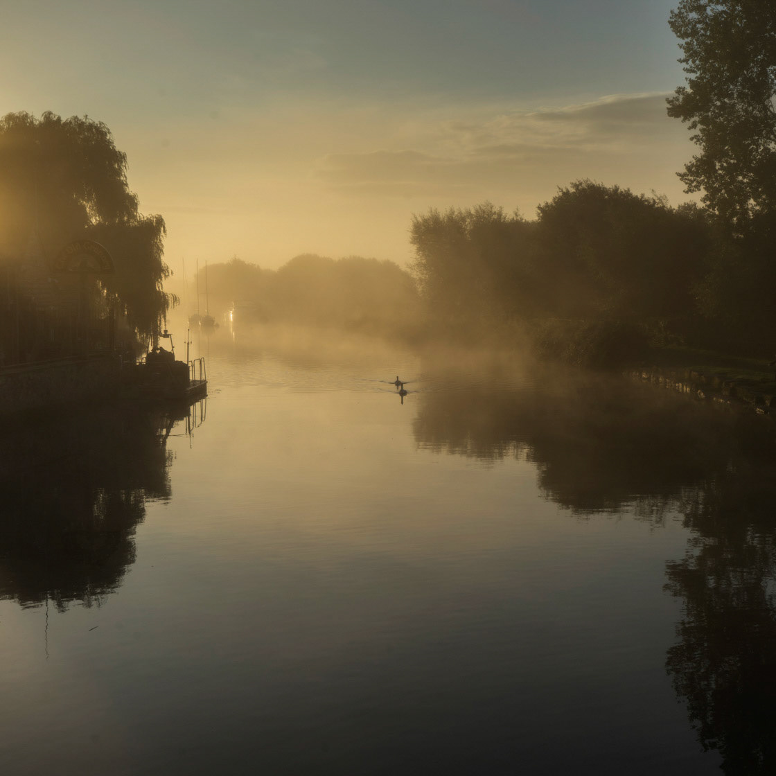 Dawn Mist on the Frome, Wareham
