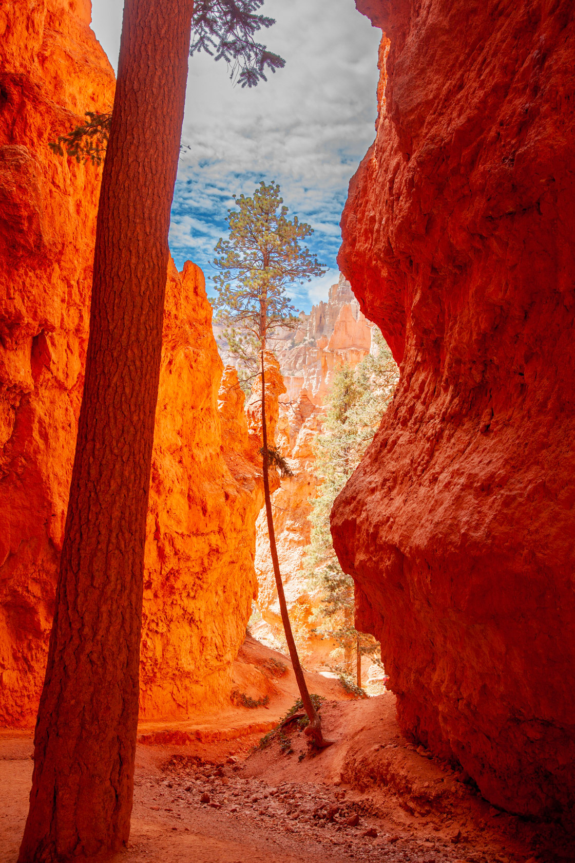 Bryce Canyon