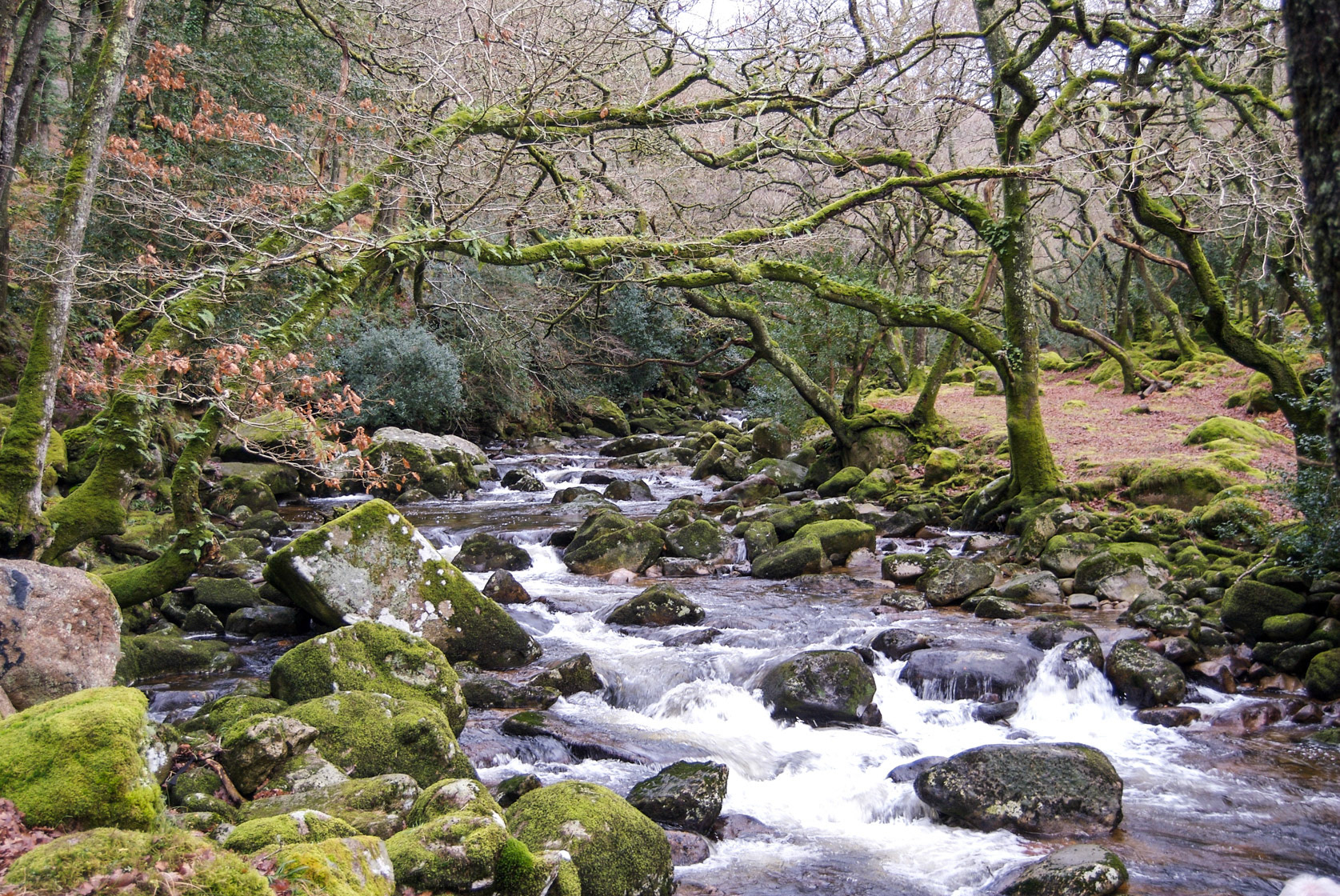 Dartmoor - River Yealm