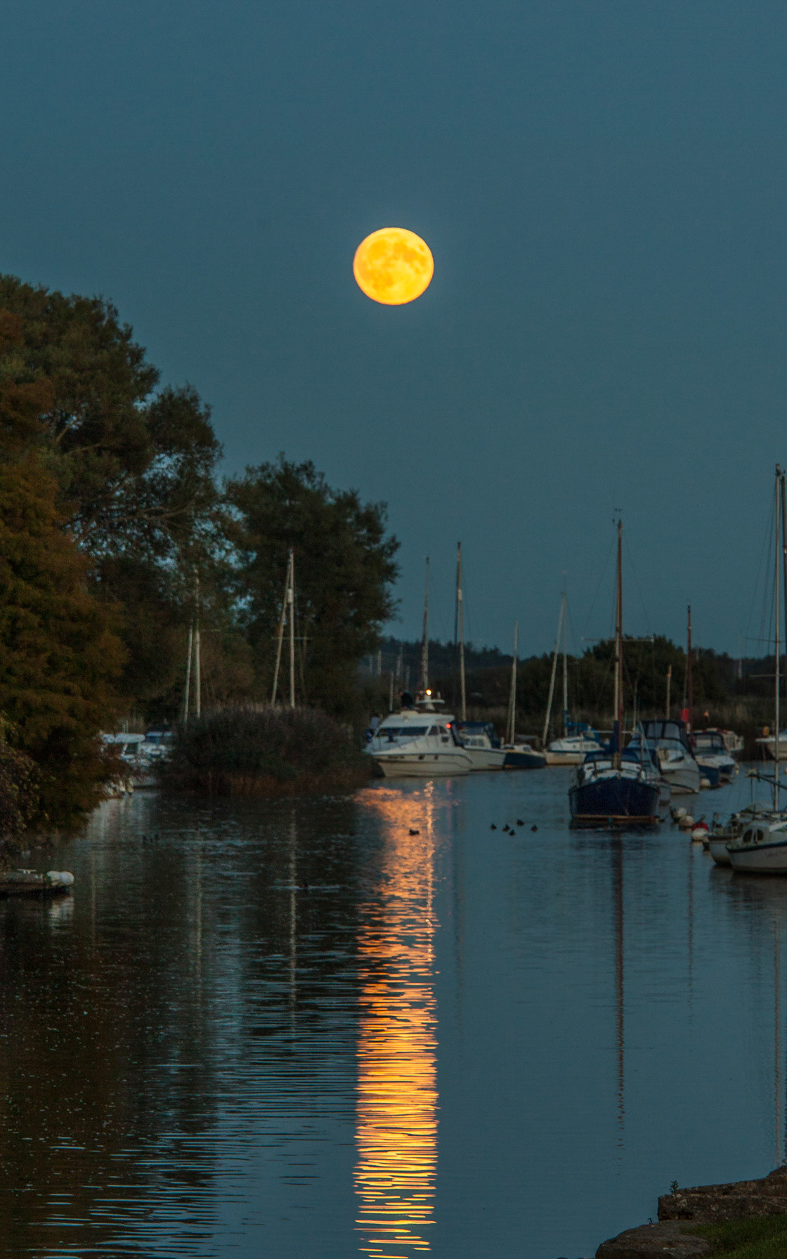 Supermoon - River Frome