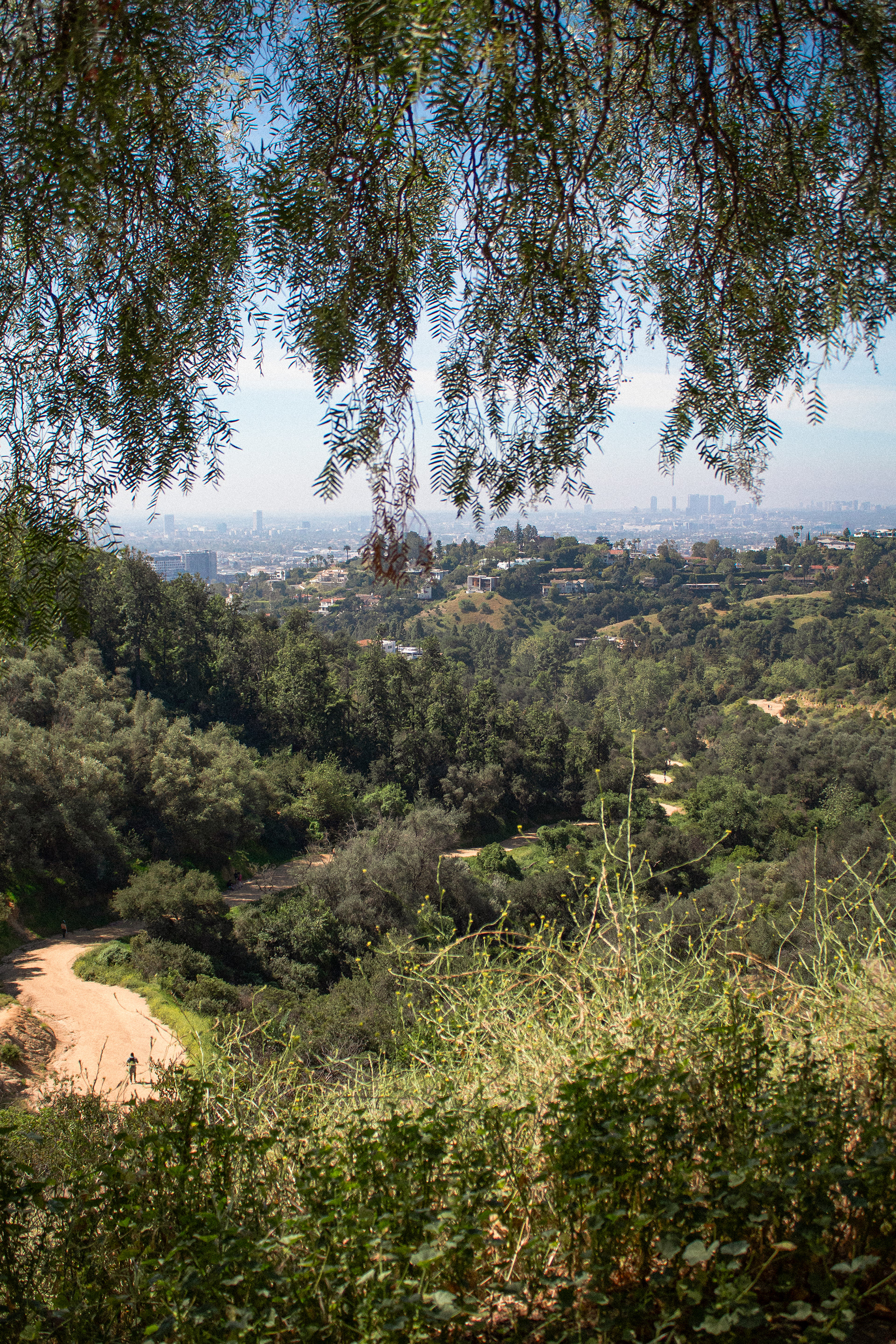 West Observatory Trail (2026)