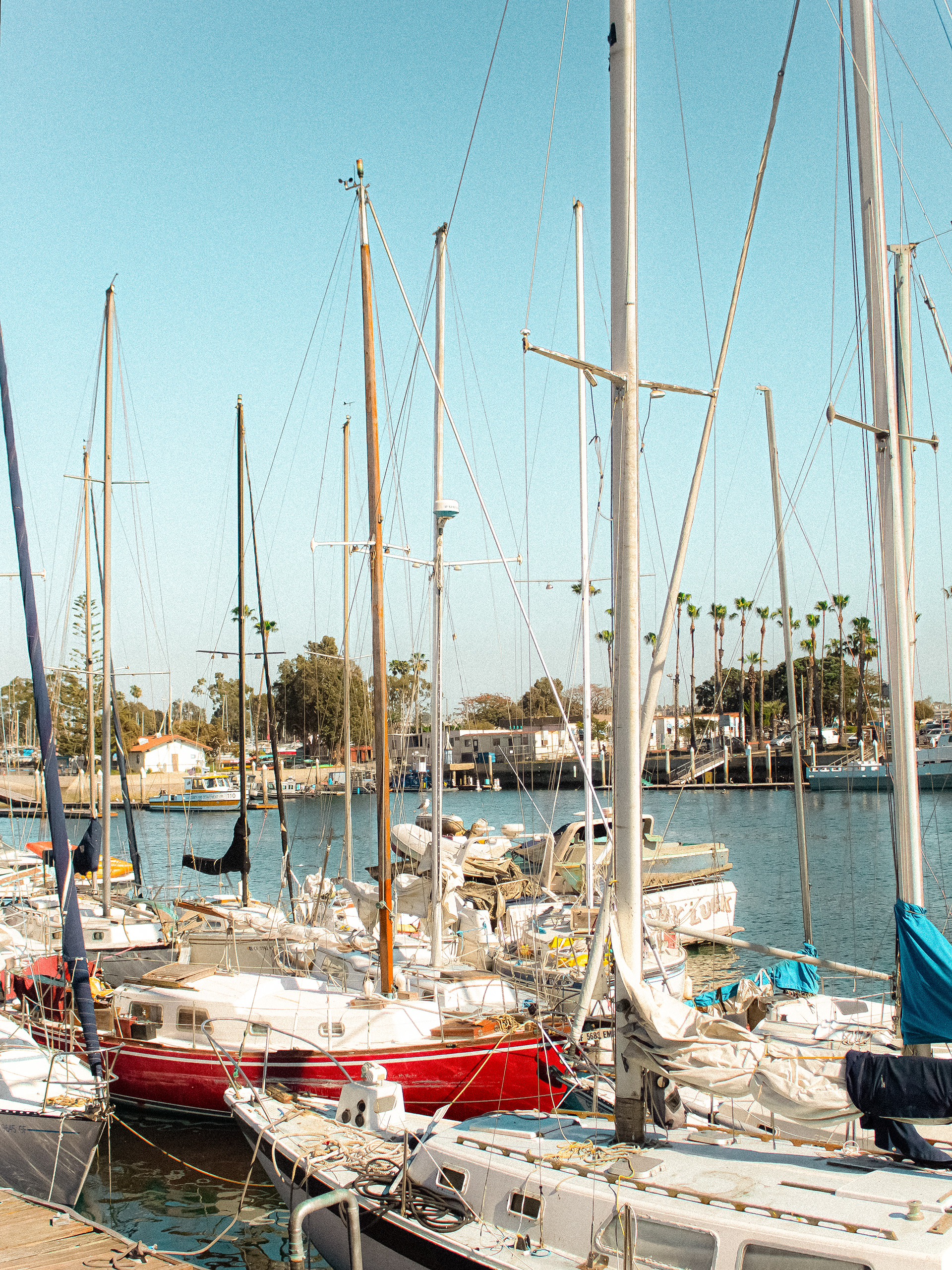 Marina del Rey (2026)