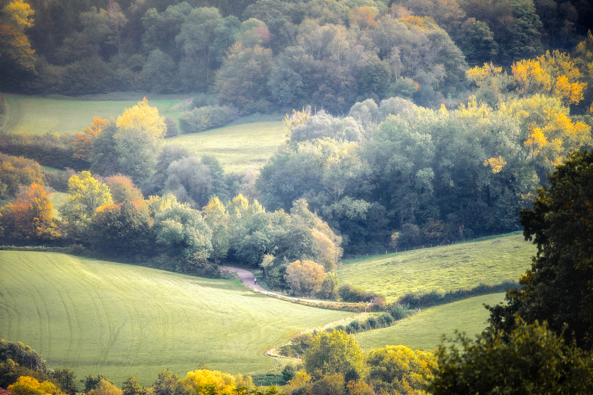 Rolling hills