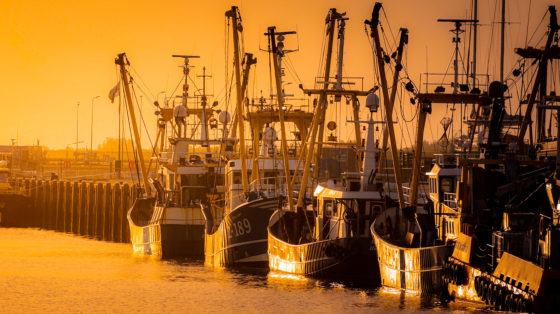 Fishing vessels lined up in the harbour. 