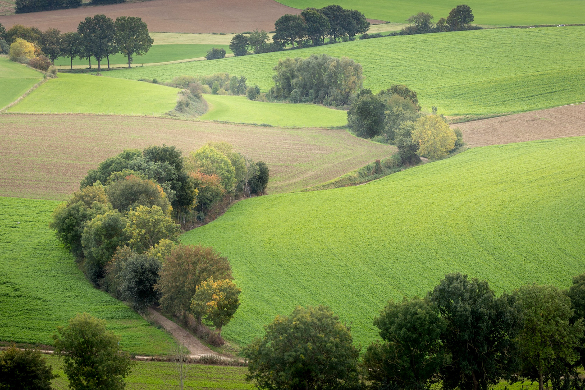 Rolling hills