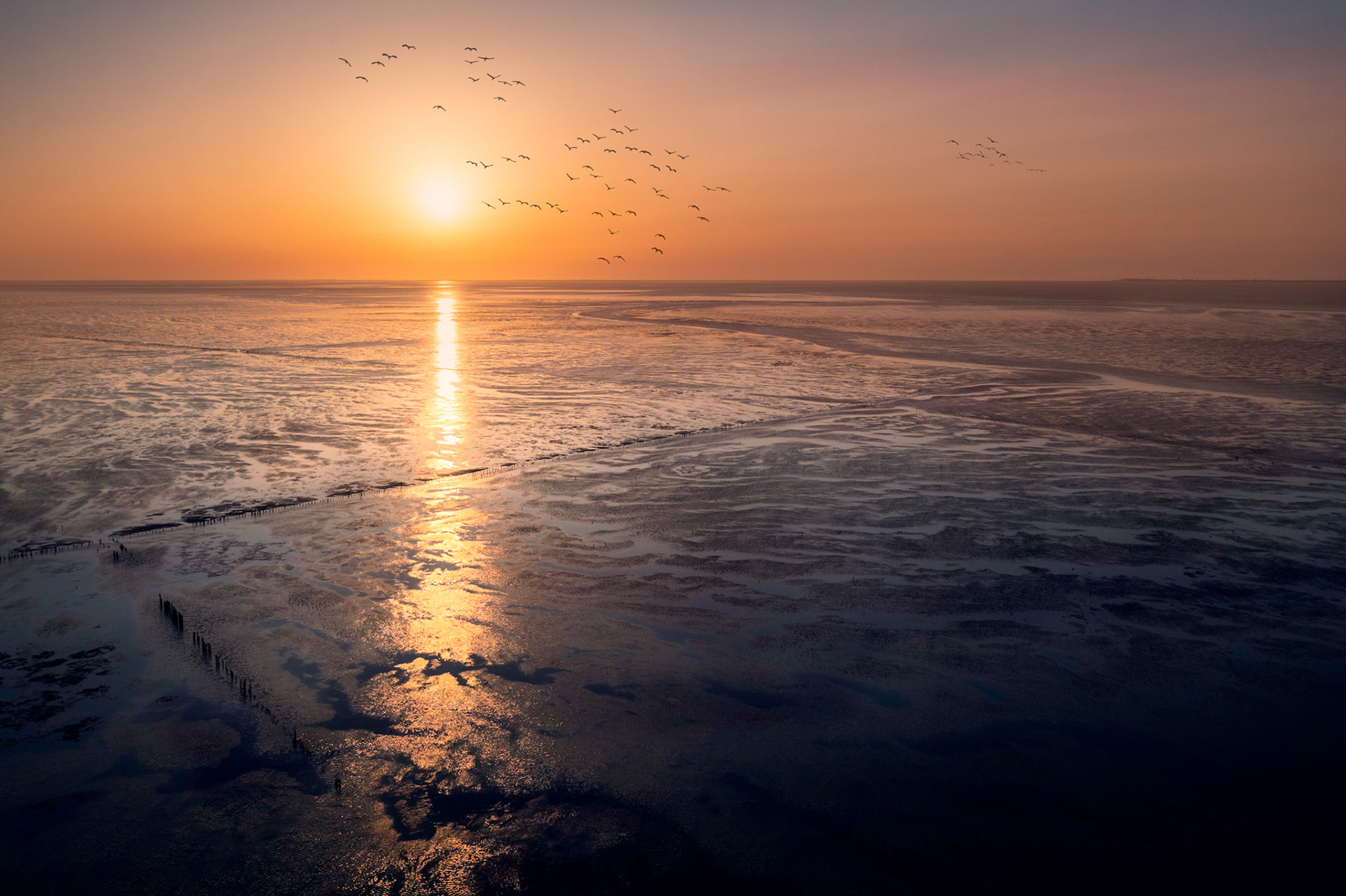 Emmapolder, Wadden Sea coast