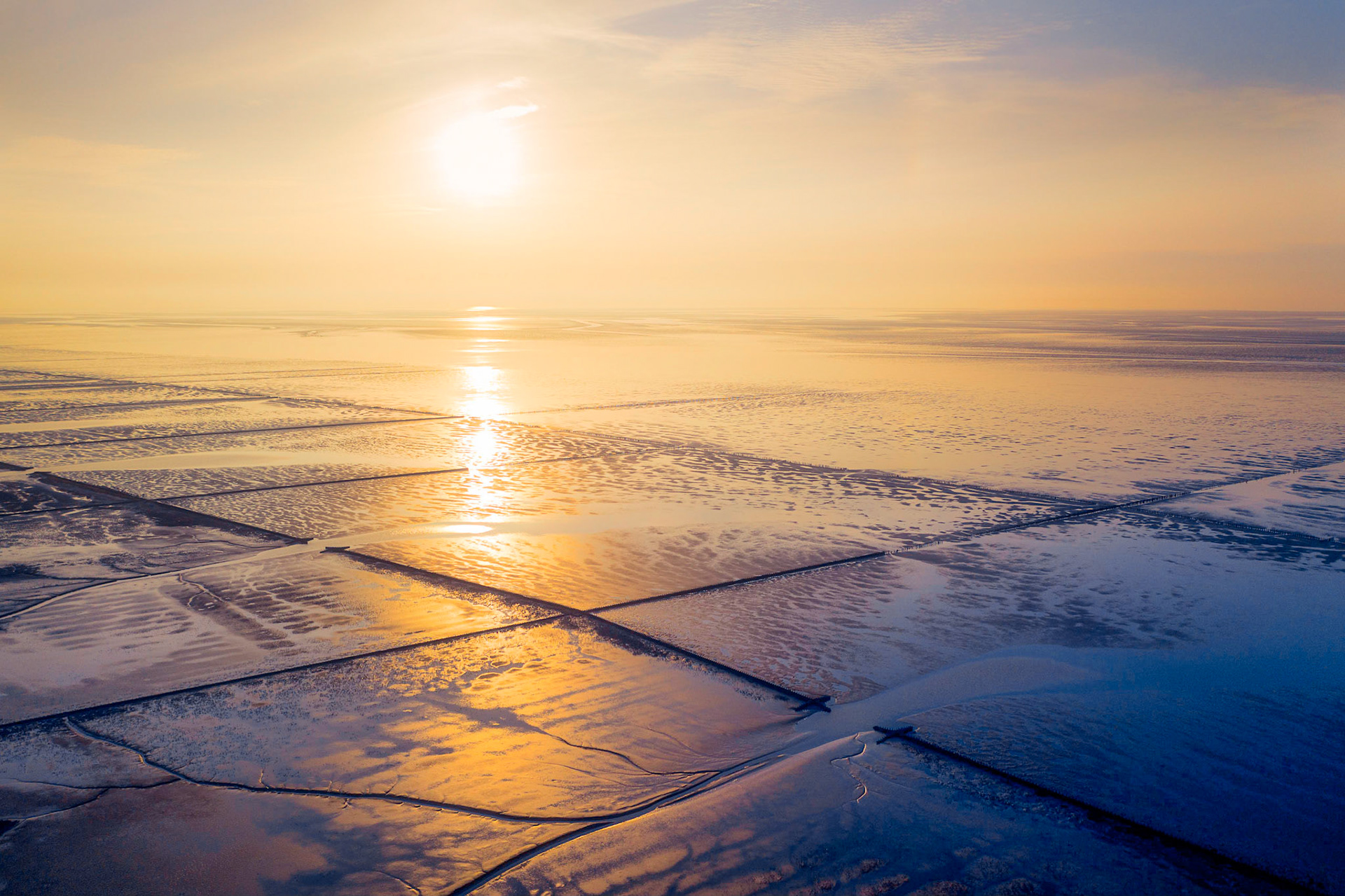 Salt marshes during low tide on the Wadden Sea coast.