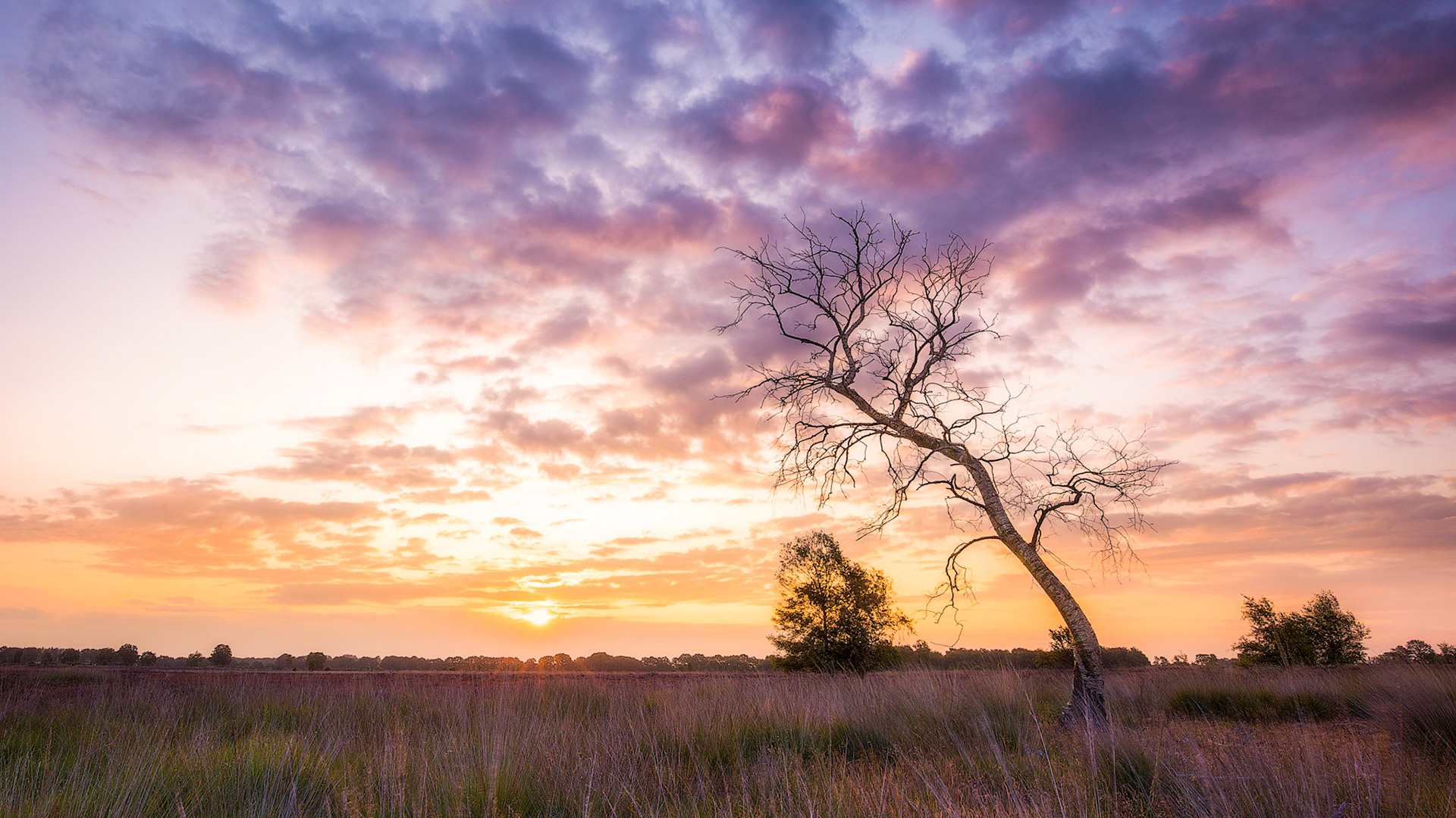 Sunrise at the Balloërveld.