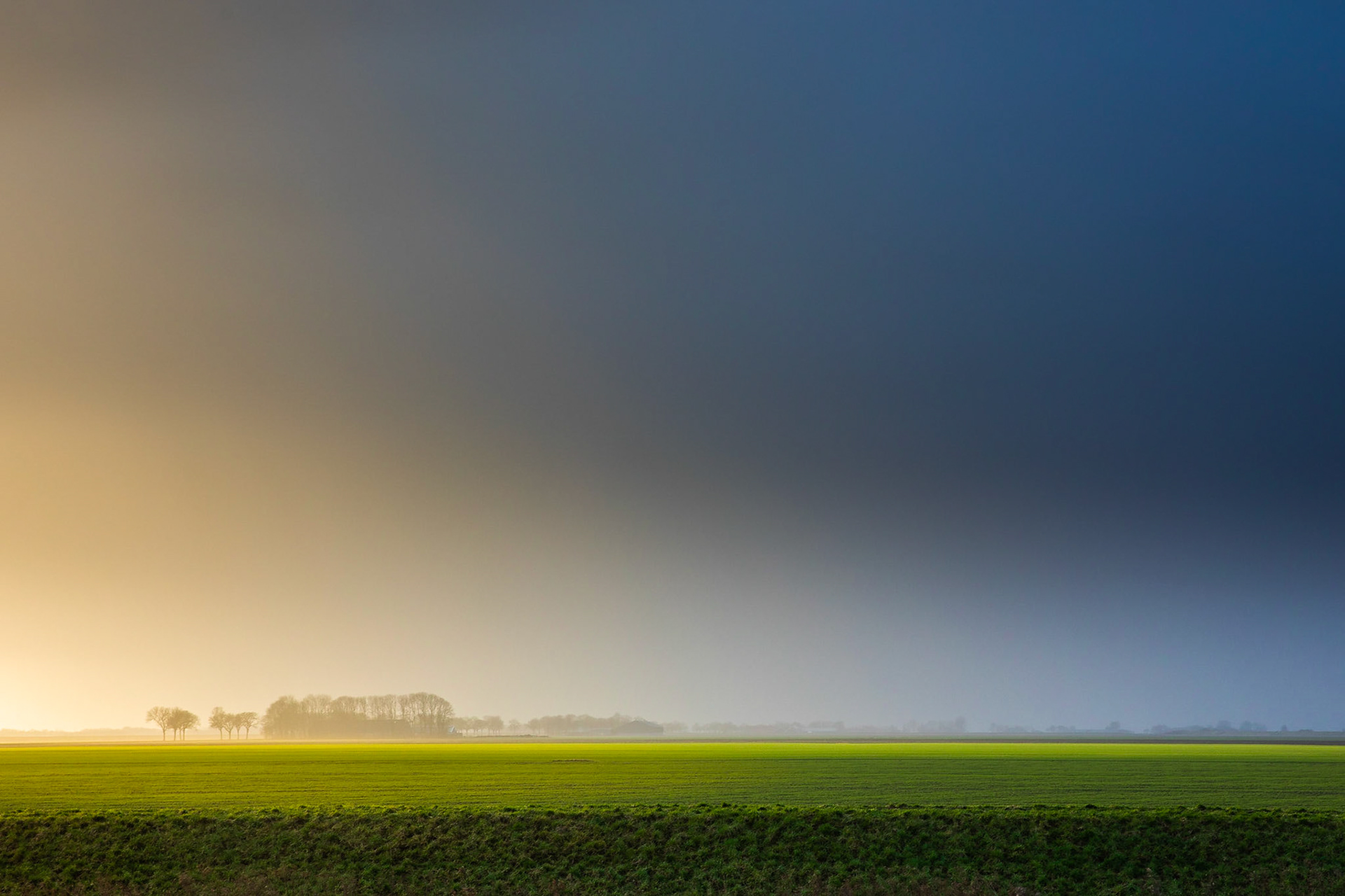 Carel Coenraadpolder