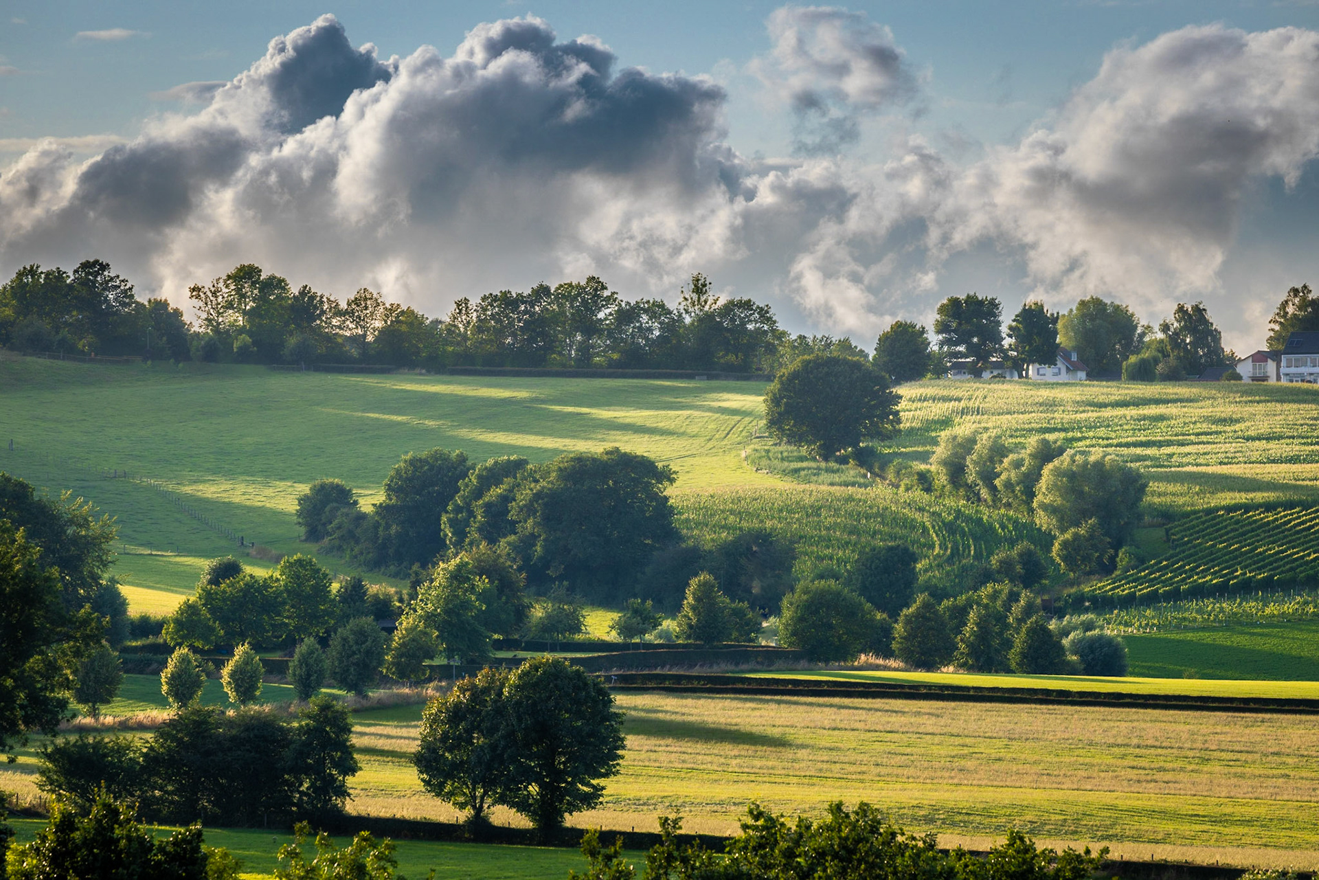 Rolling hills with huge clouds