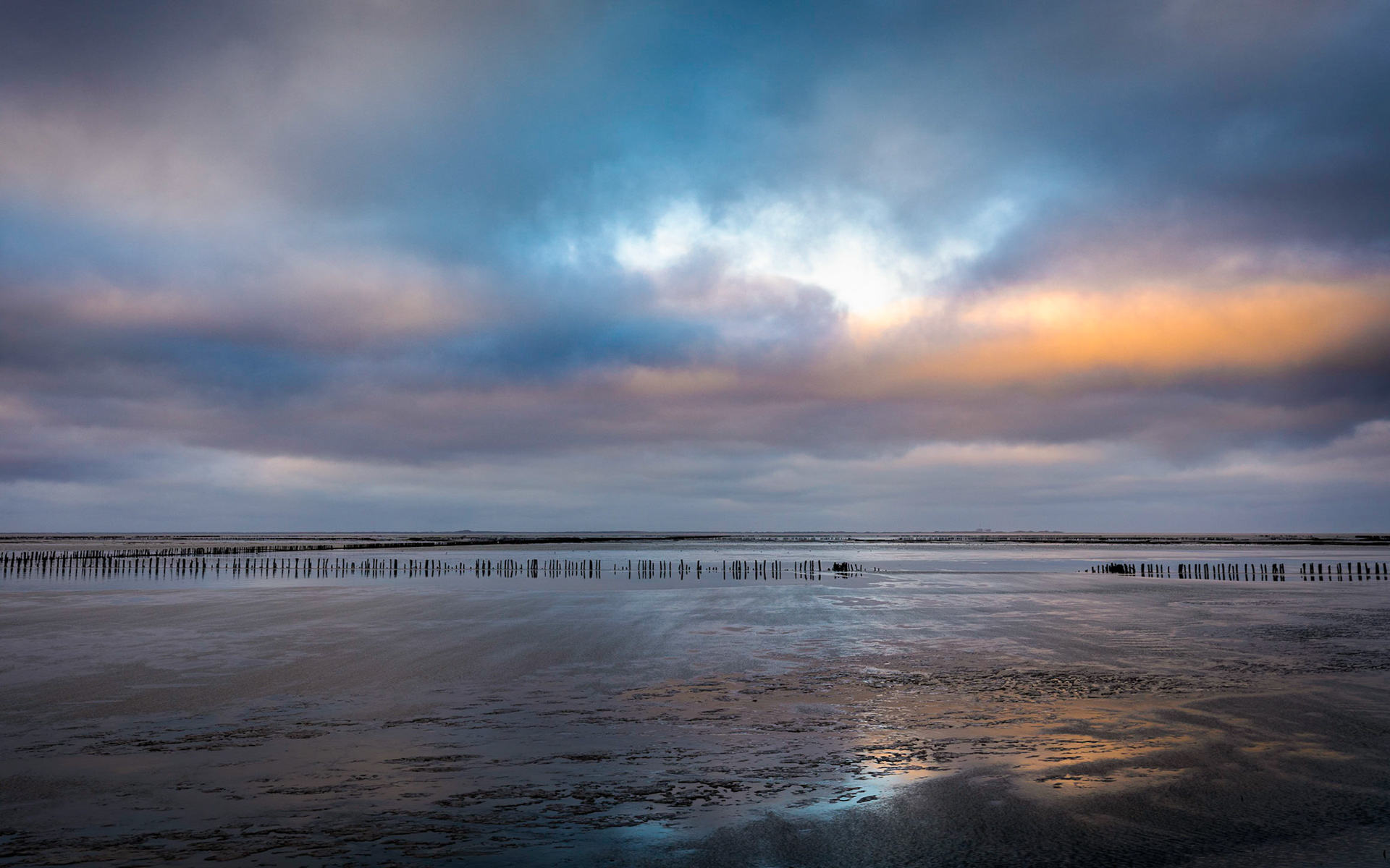 A brief moment of light on a grey afternoon in December.