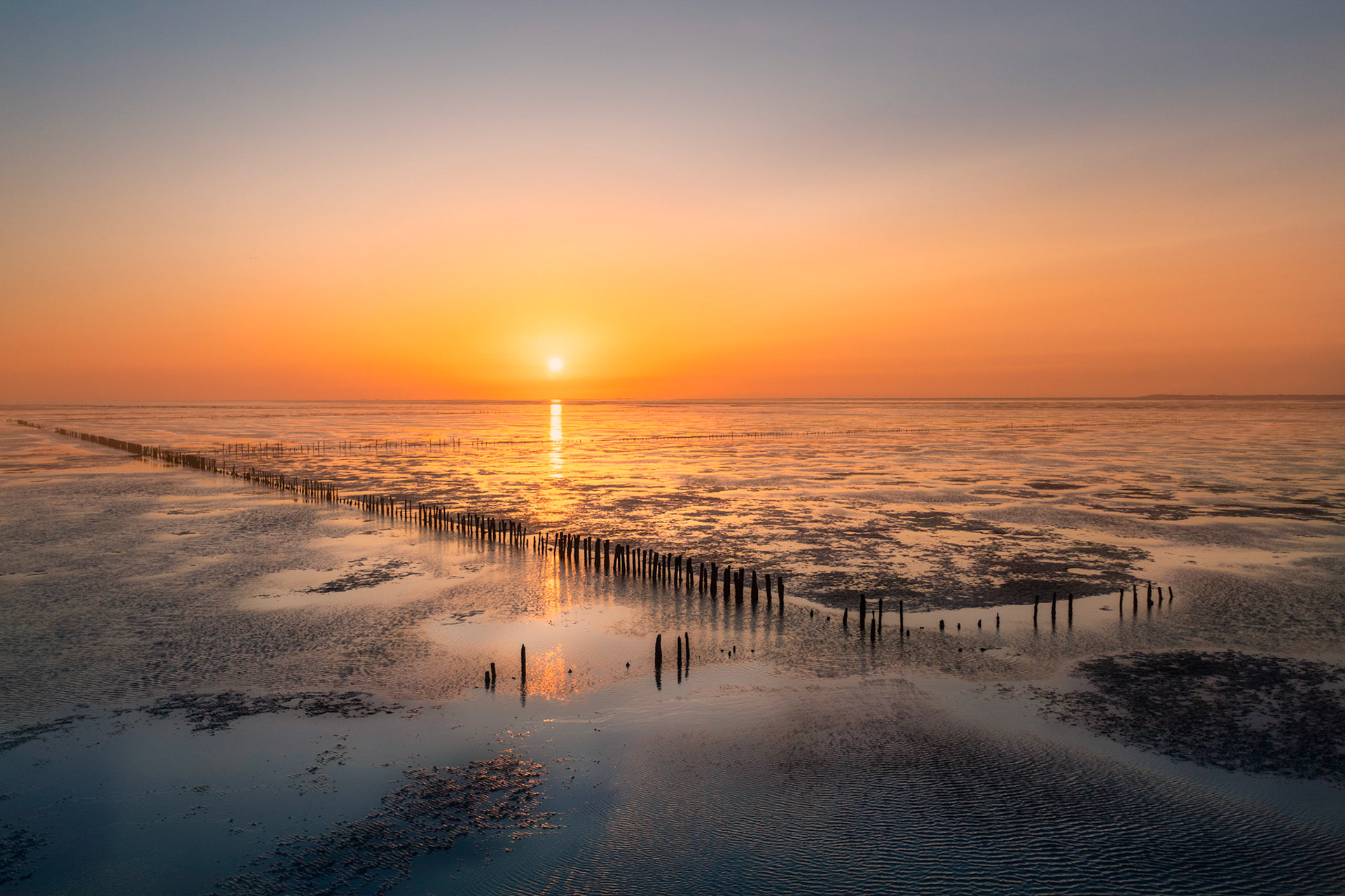 Breakwaters on the salt marshes at the Wadden Sea coastline.