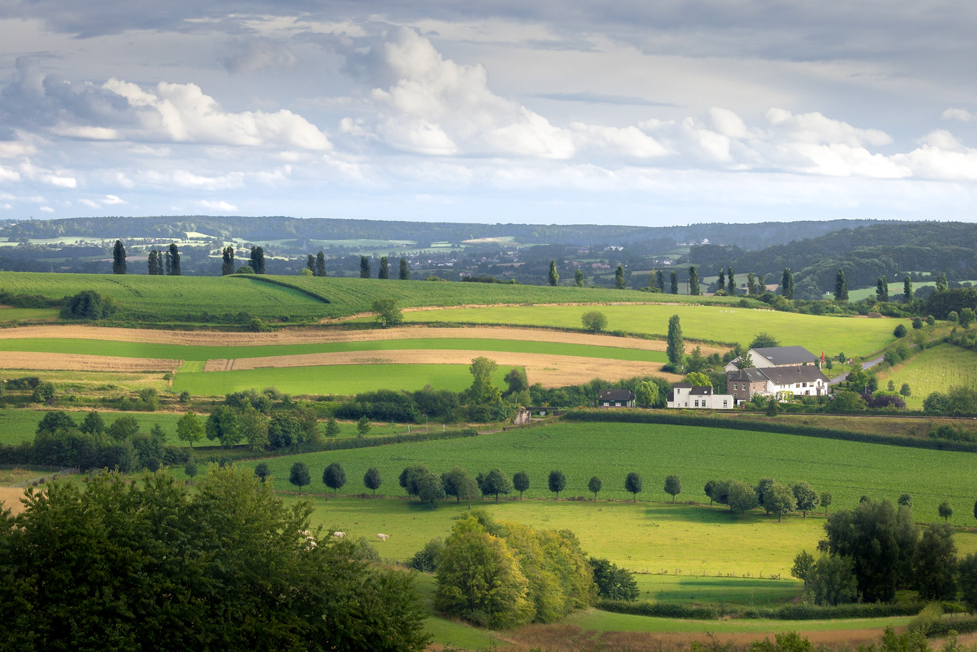 Little Tuscany