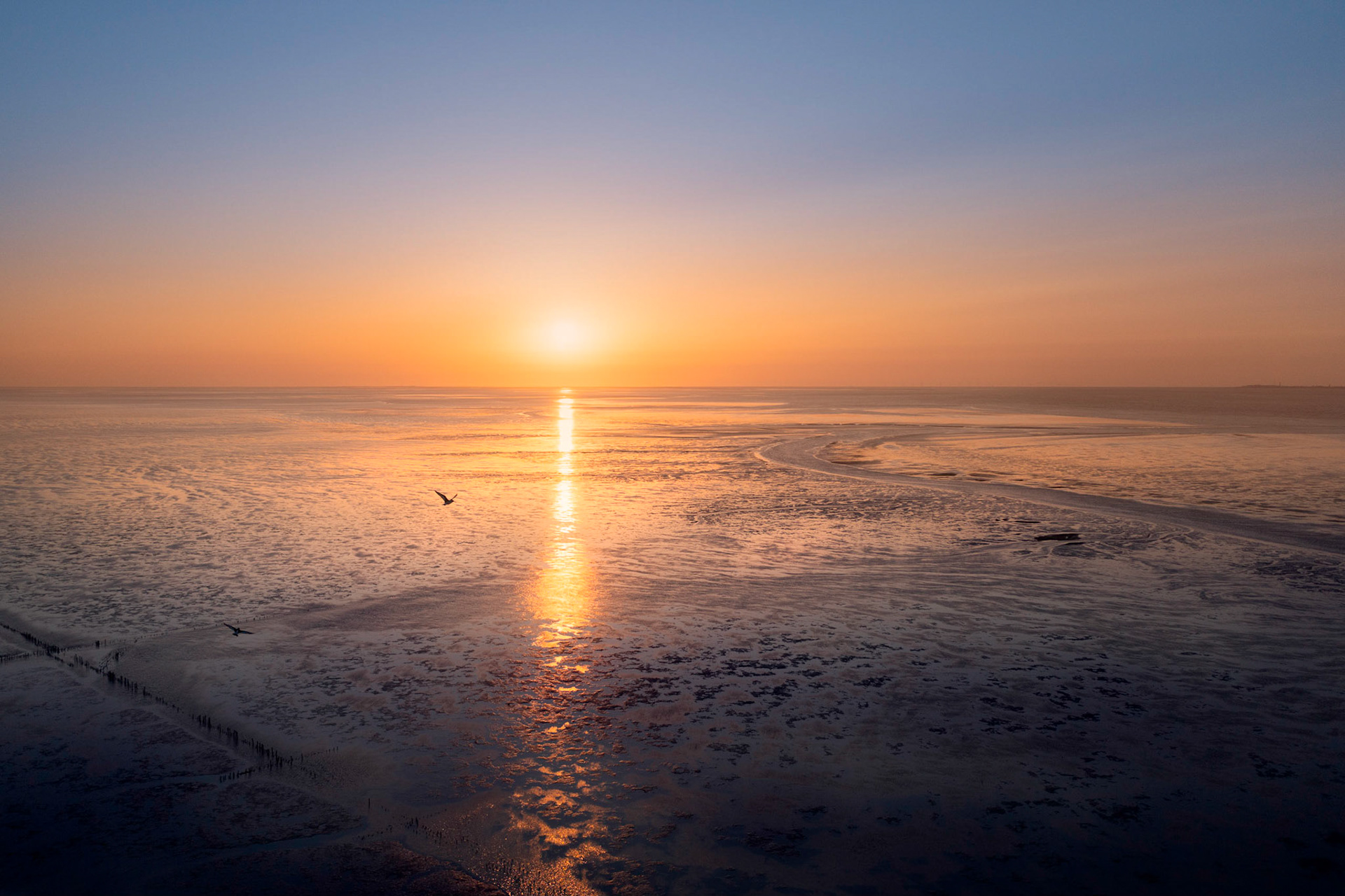 Wadden Sea big vista.