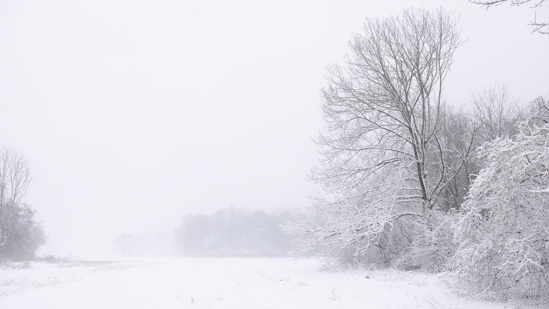 Biessumerbos during snowfall.