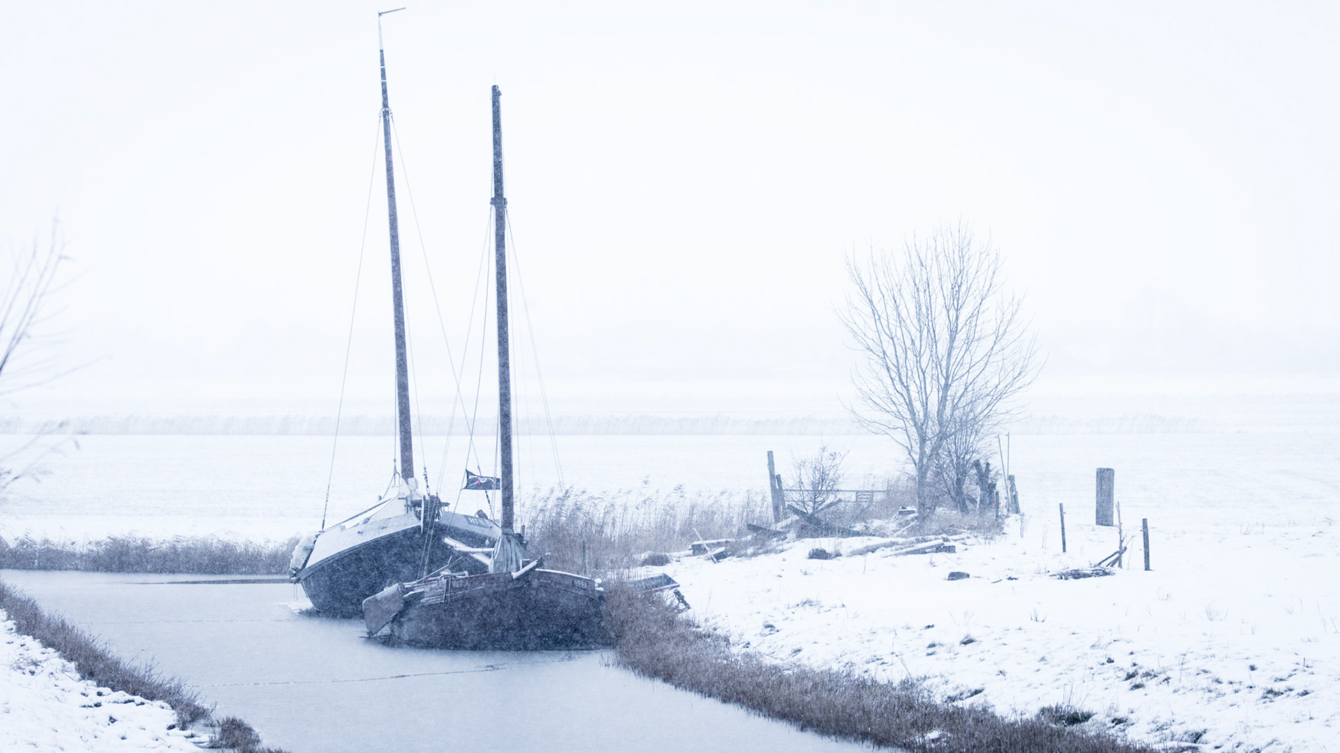 Uitwierde - view from the little harbour.