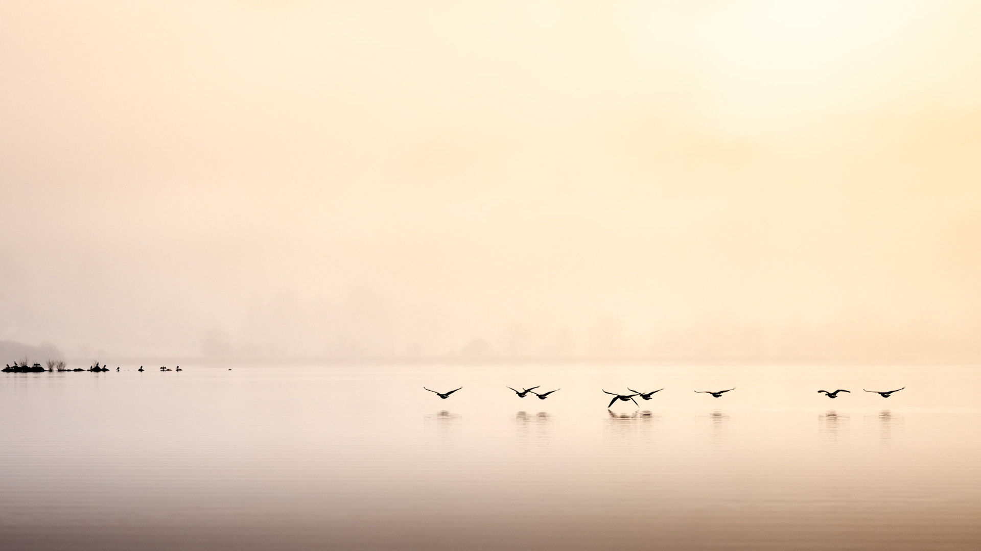 Derwent Water, geese flying away