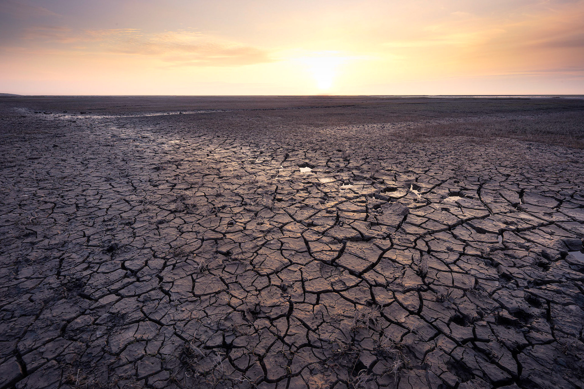 The sea is like a desert.