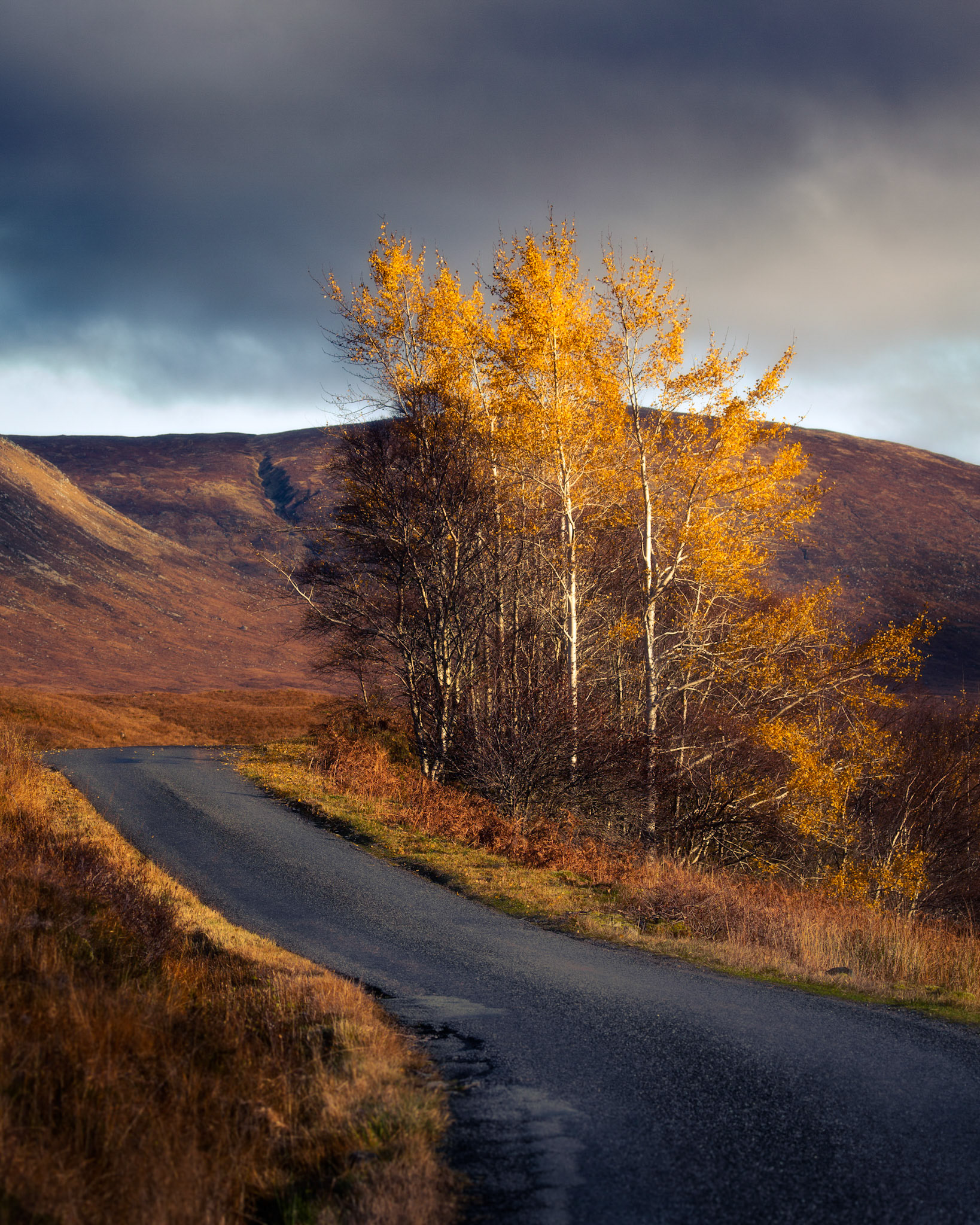 On the road to Loch Etive