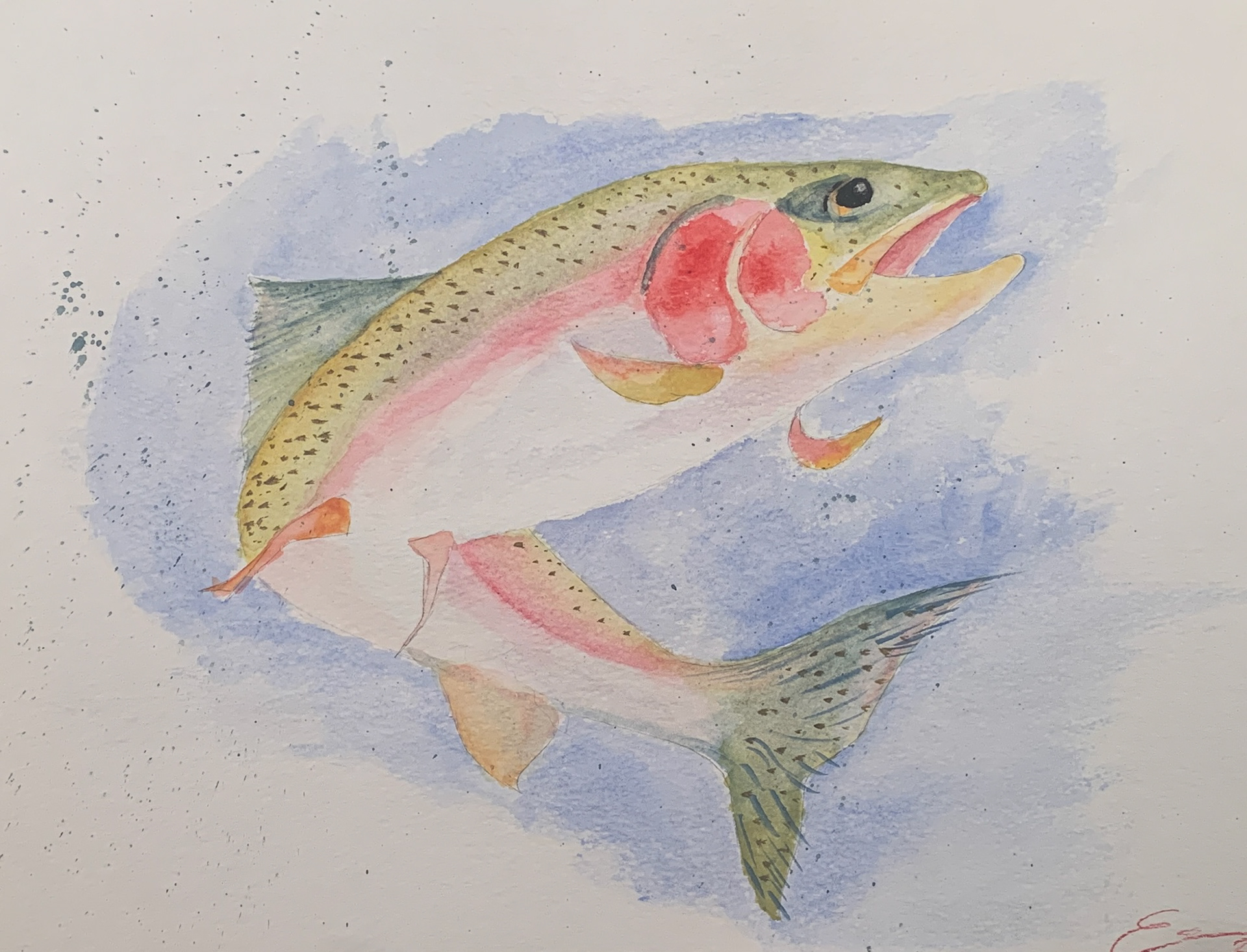 Leaping Trout