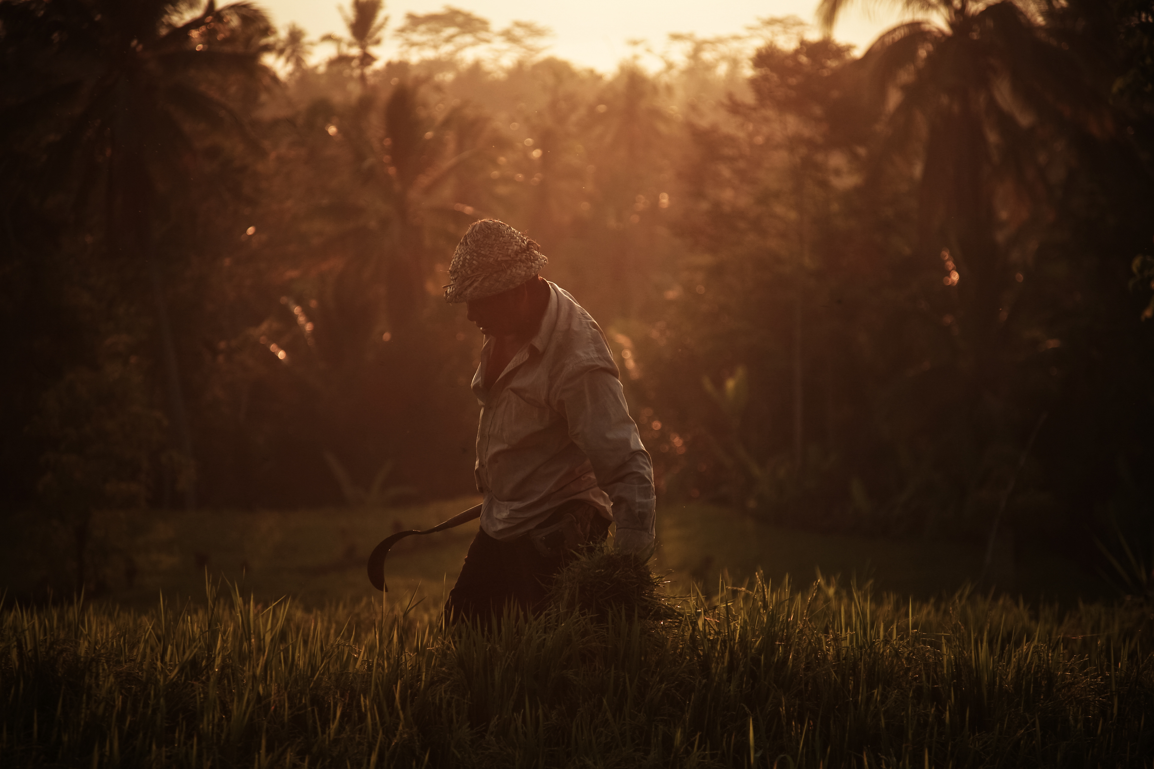 Alessandro Capoccia Photography | INDONESIA 