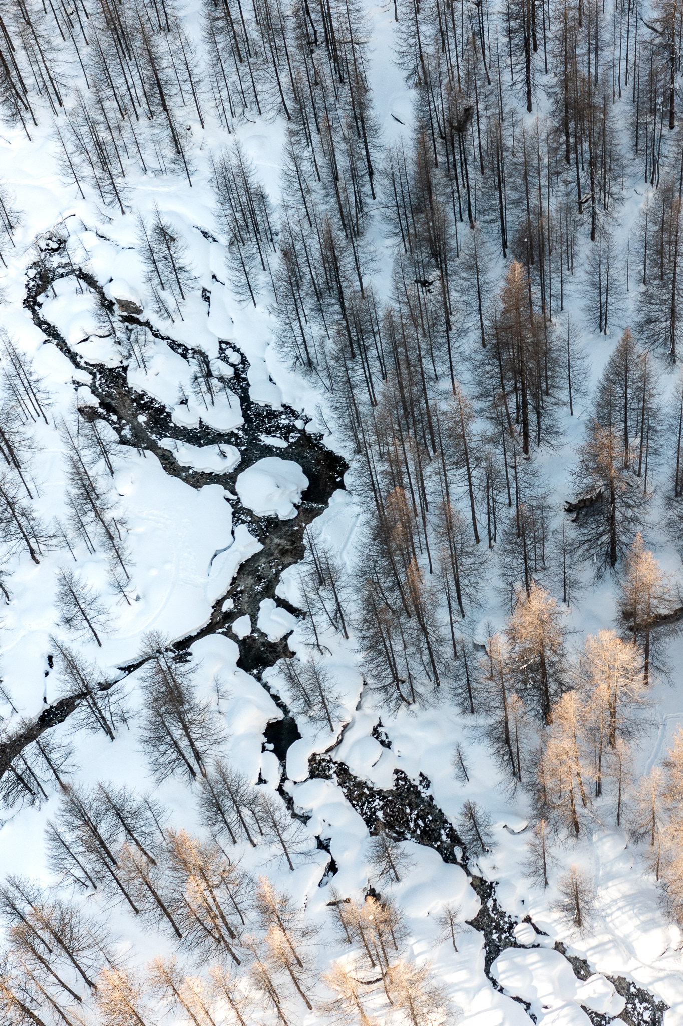 Alessandro Capoccia | THE ALPS 2022