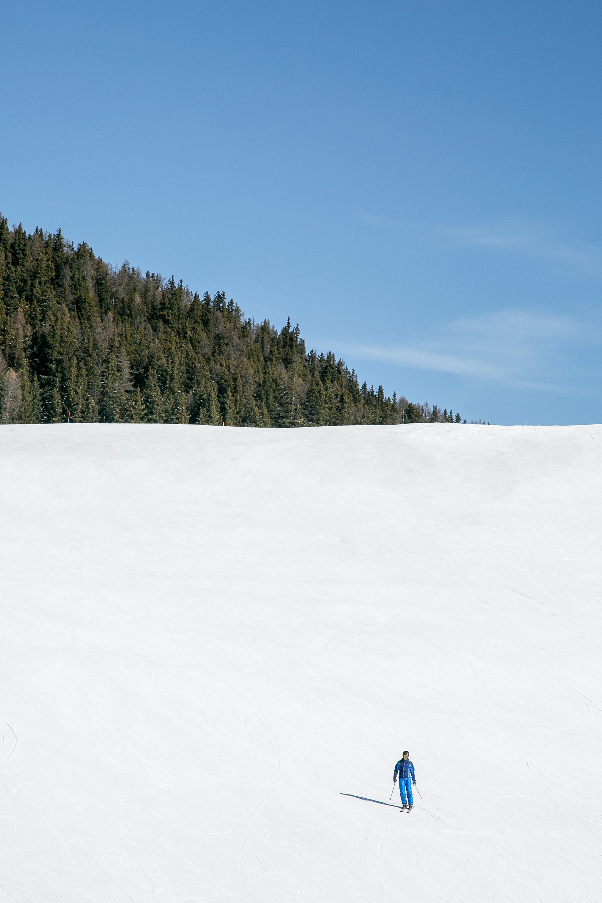 Torgnon - ALESSANDRO CAPOCCIA PHOTOGRAPHY - DOVE VIAGGI 2023