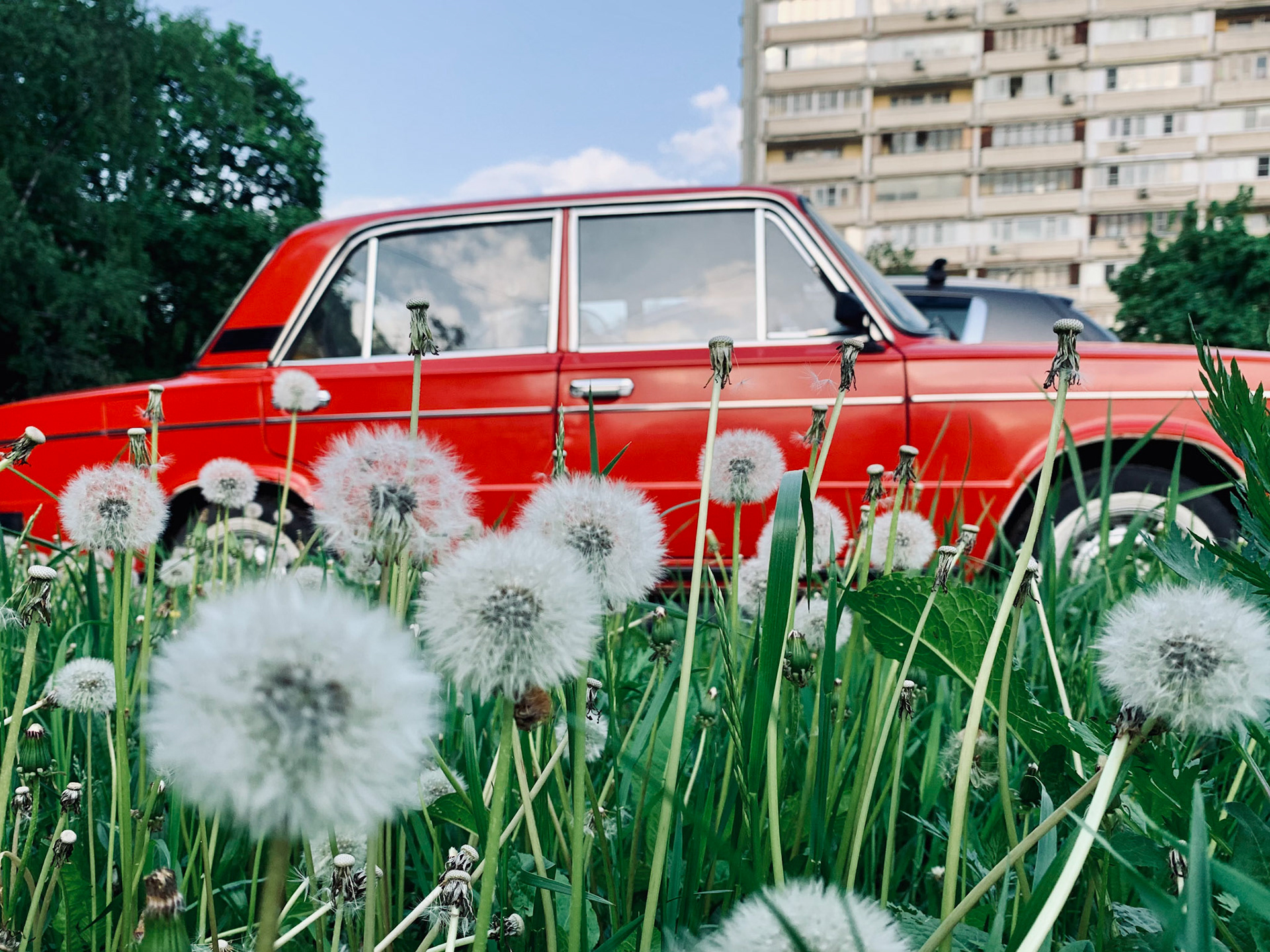 Alessandro Capoccia Photography | Moscow, RUSSIA