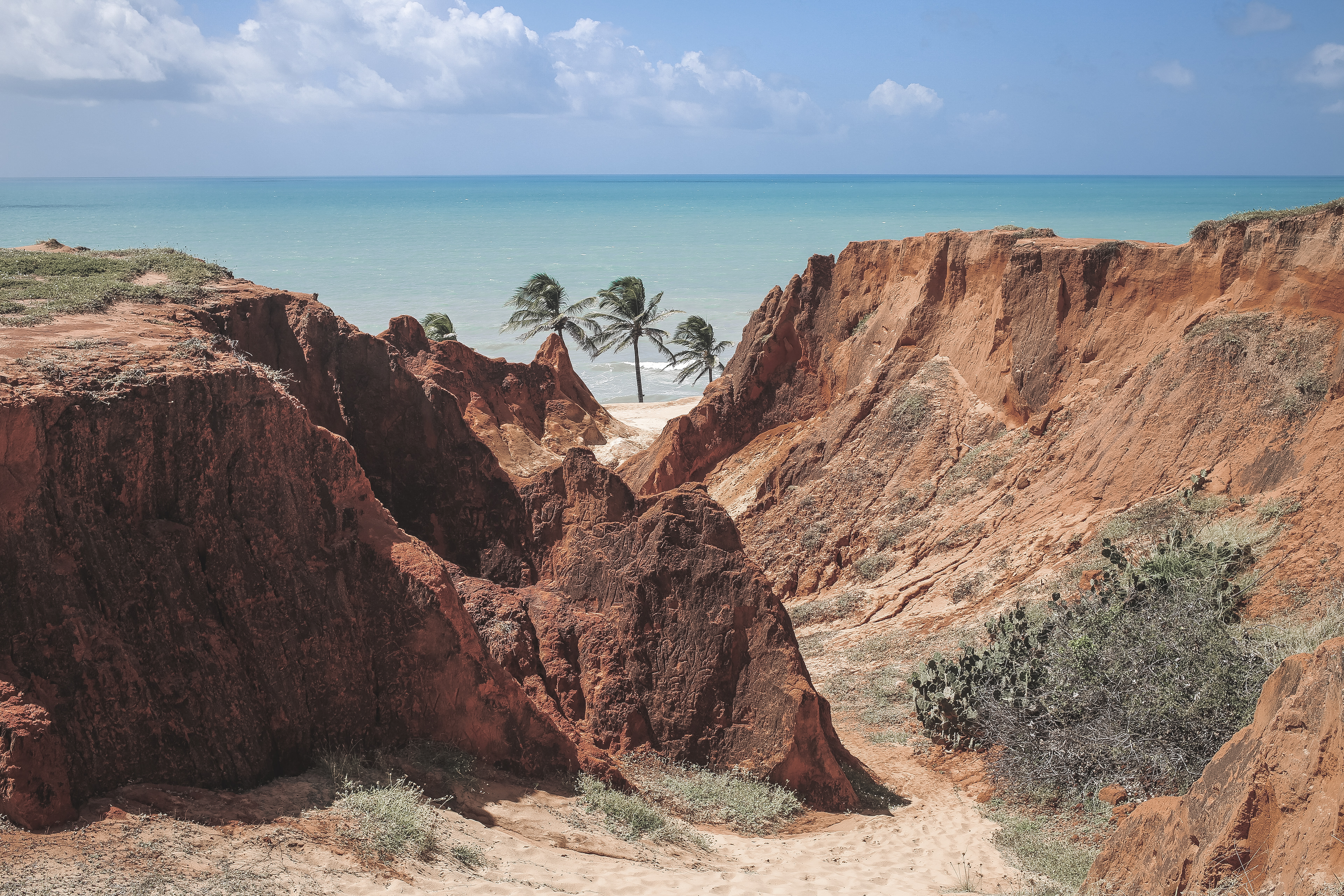 Alessandro Capoccia Photography 