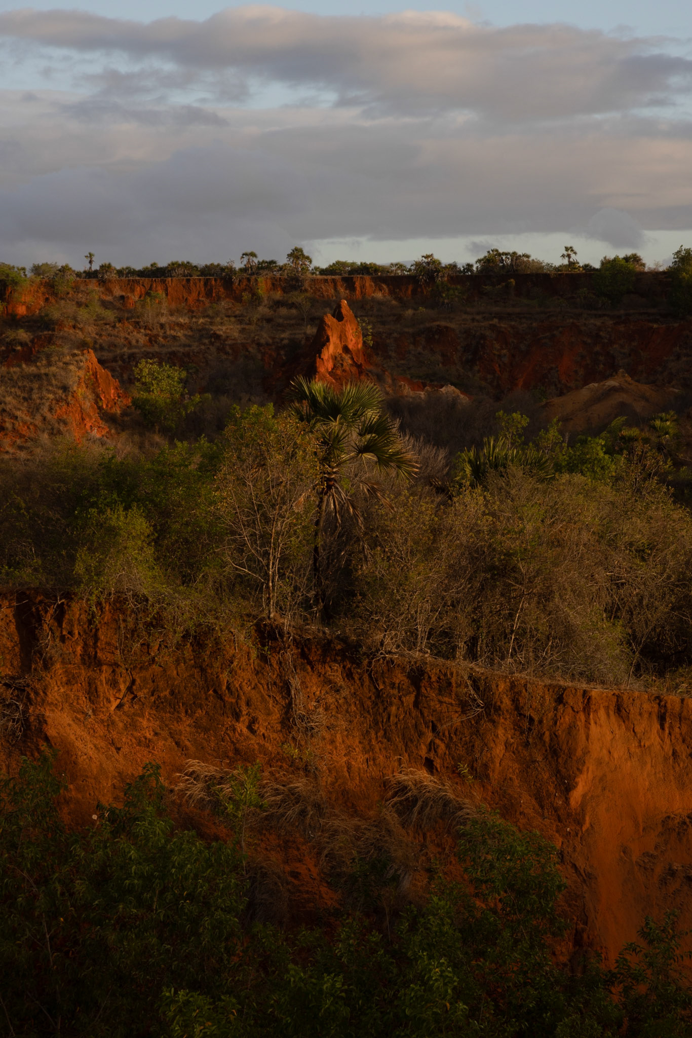 somewhere in Madagascar ©️ 2023