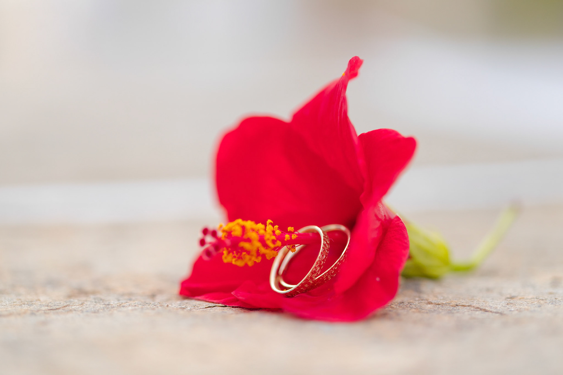 Aggelos & Katerina Wedding in Sifnos 13 July 2019. Photography: Pantelis Ladas http://ldspro.net