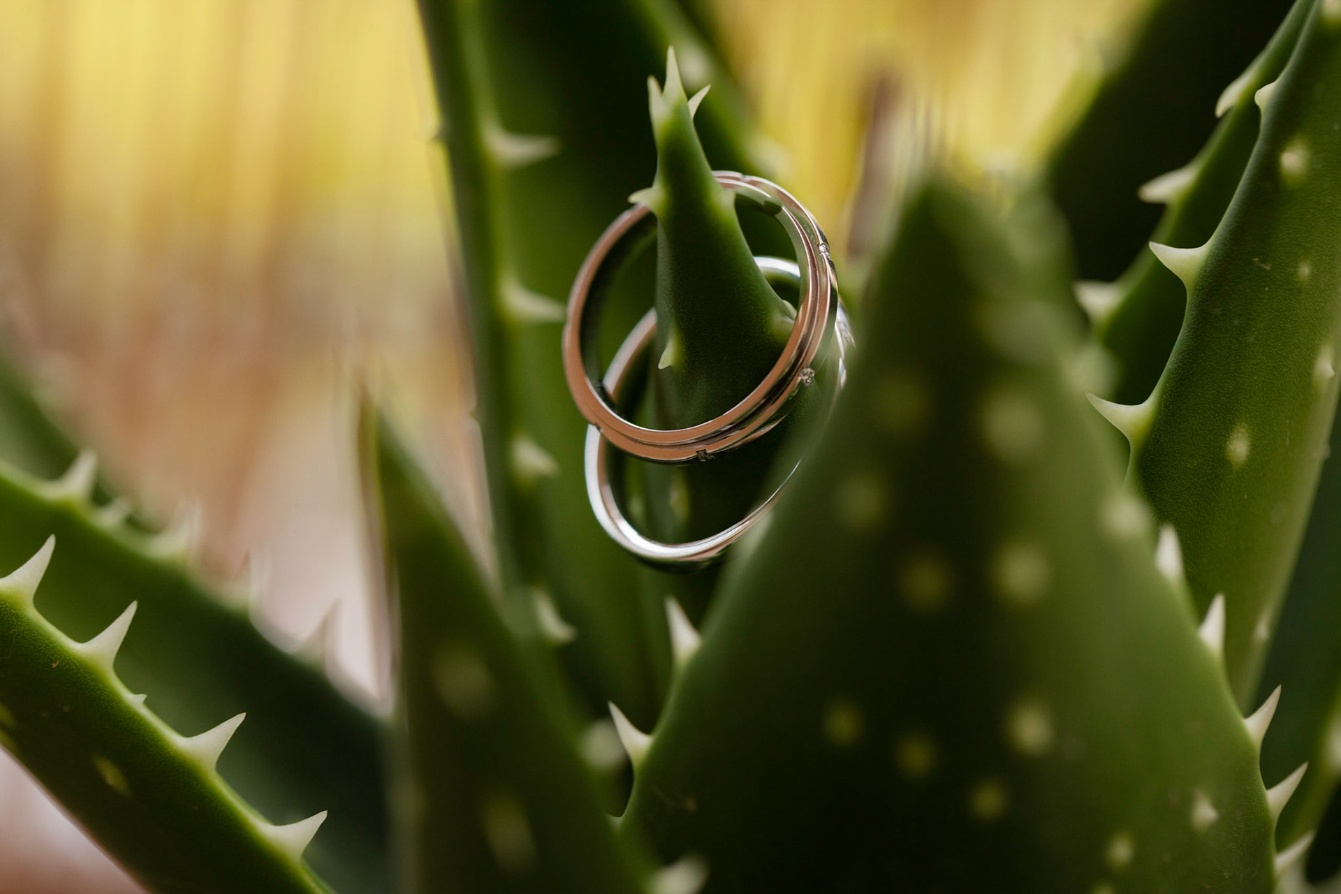 The marriage of Michalis and Zoe @ Lagonisi of Attica, Greece. Photography: Pantelis Ladas © http://panteliz.com