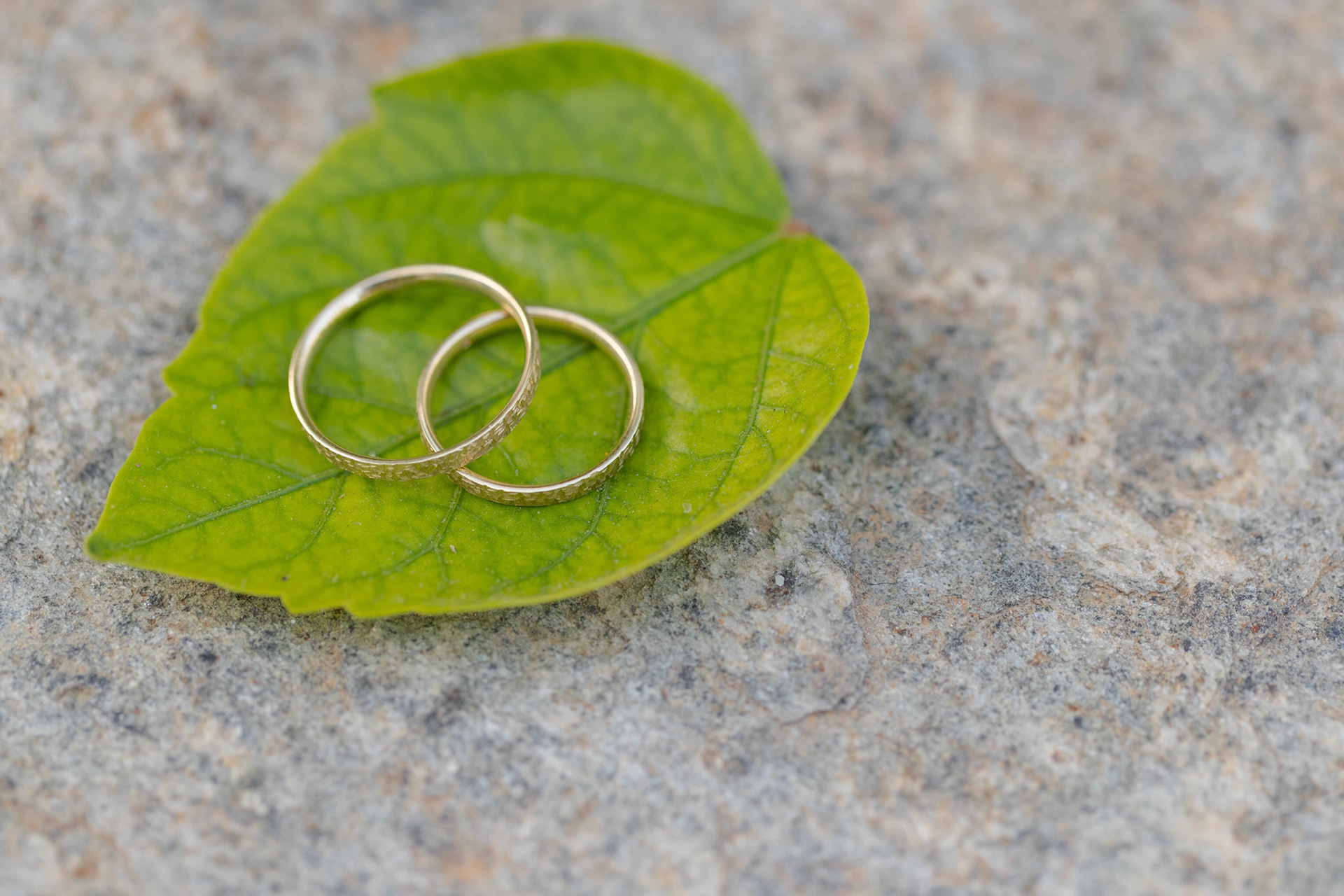 Aggelos & Katerina Wedding in Sifnos 13 July 2019. Photography: Pantelis Ladas http://ldspro.net