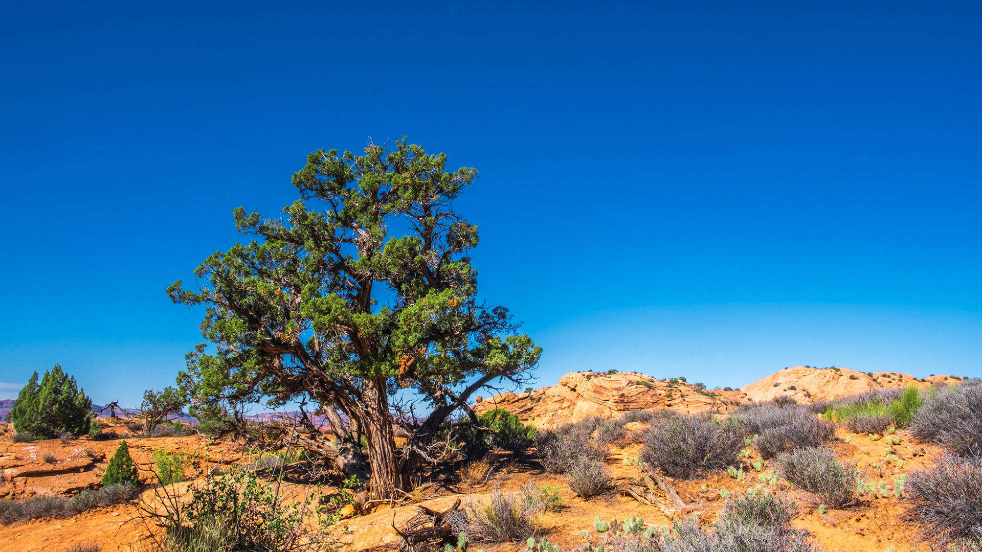 Arches National Park, Utah
